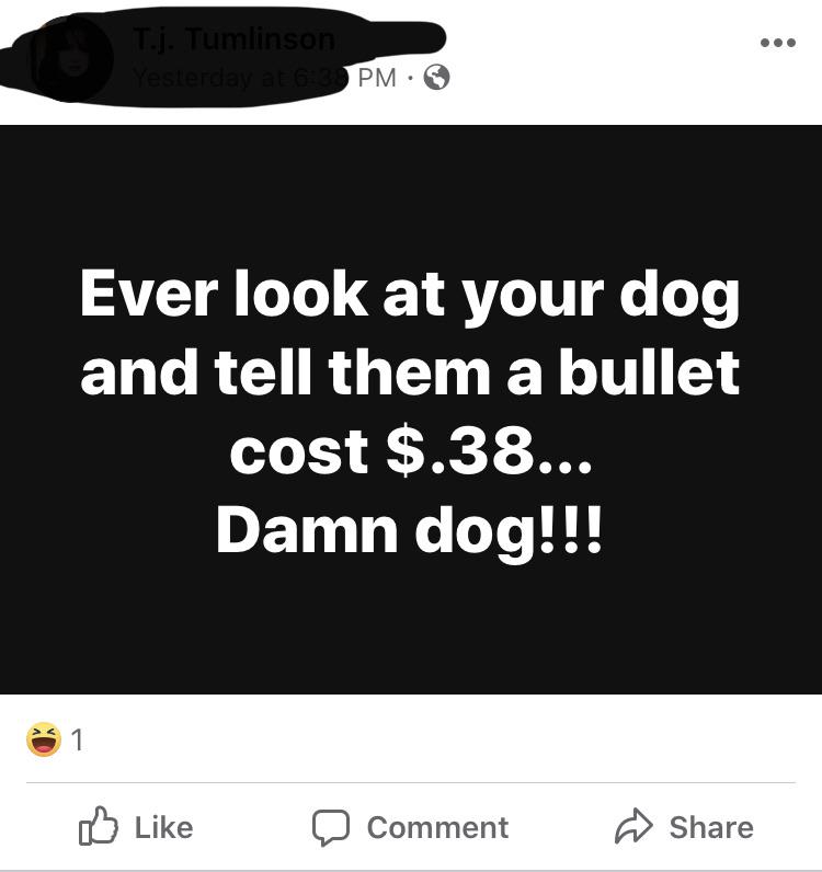 Imagine threatening to kill your dog r/insanepeoplefacebook