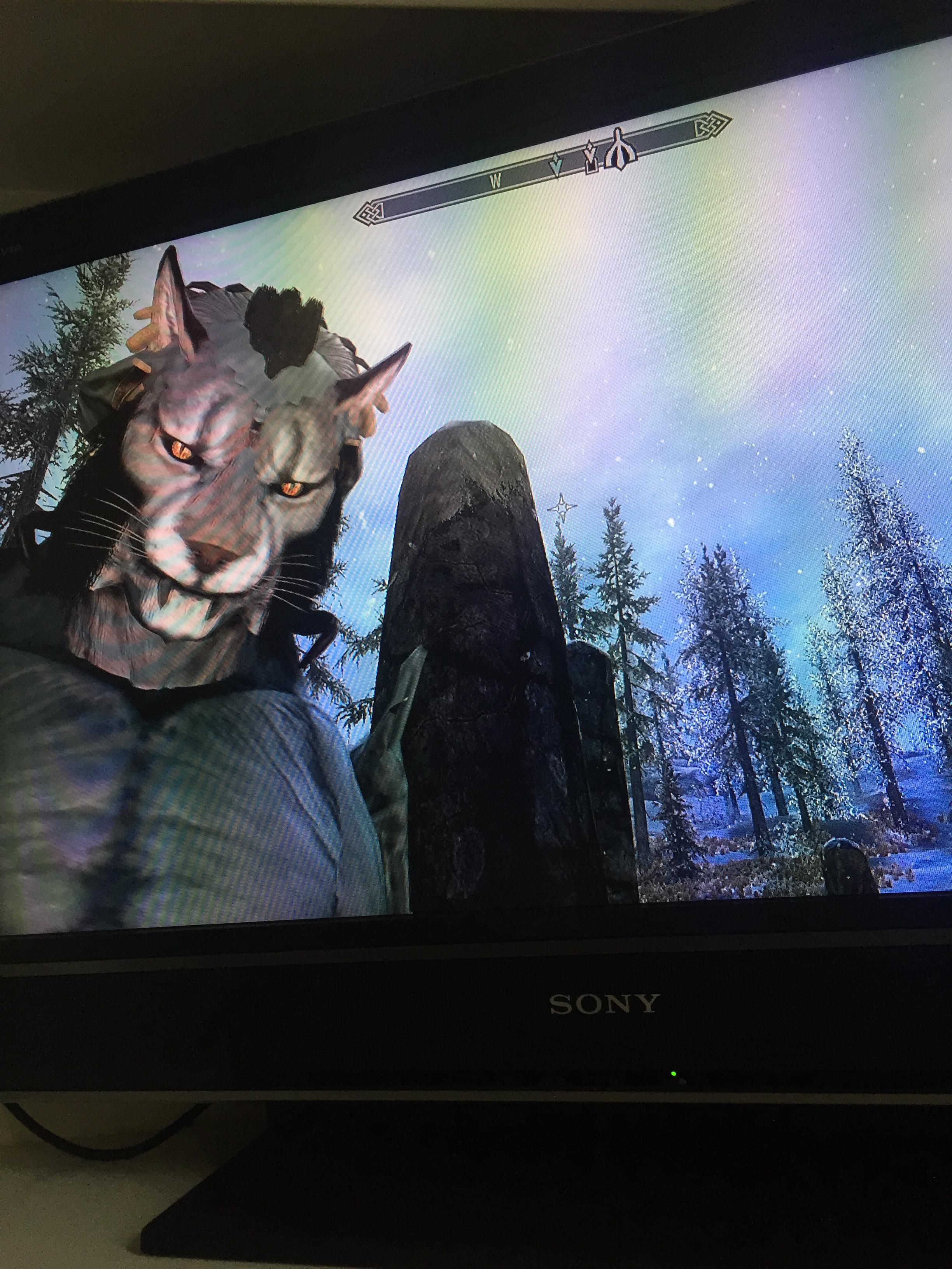 Khajiit vampire lord glitch r/skyrim