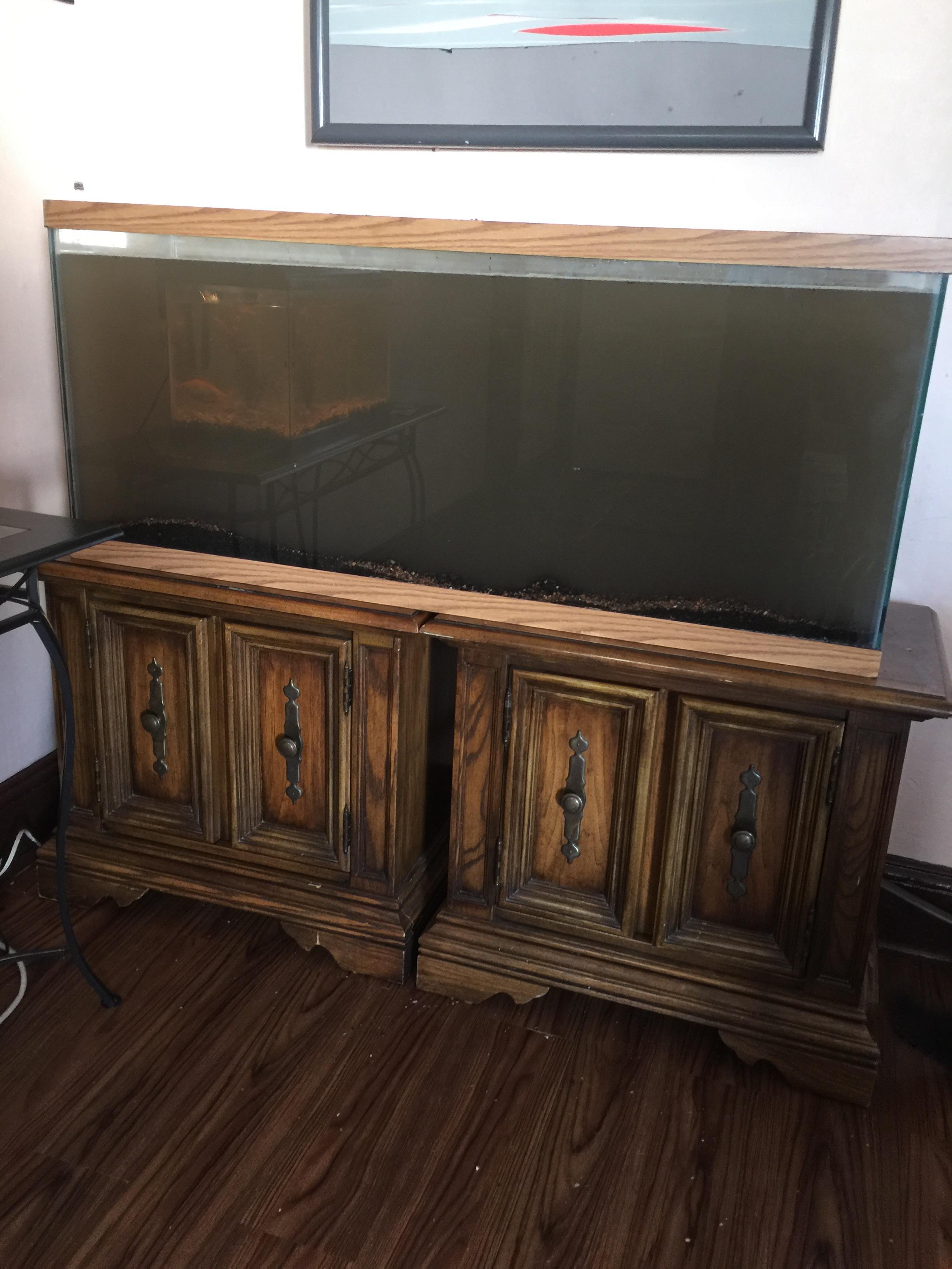 Added live substrate to my tank should I wait for the tank debris to