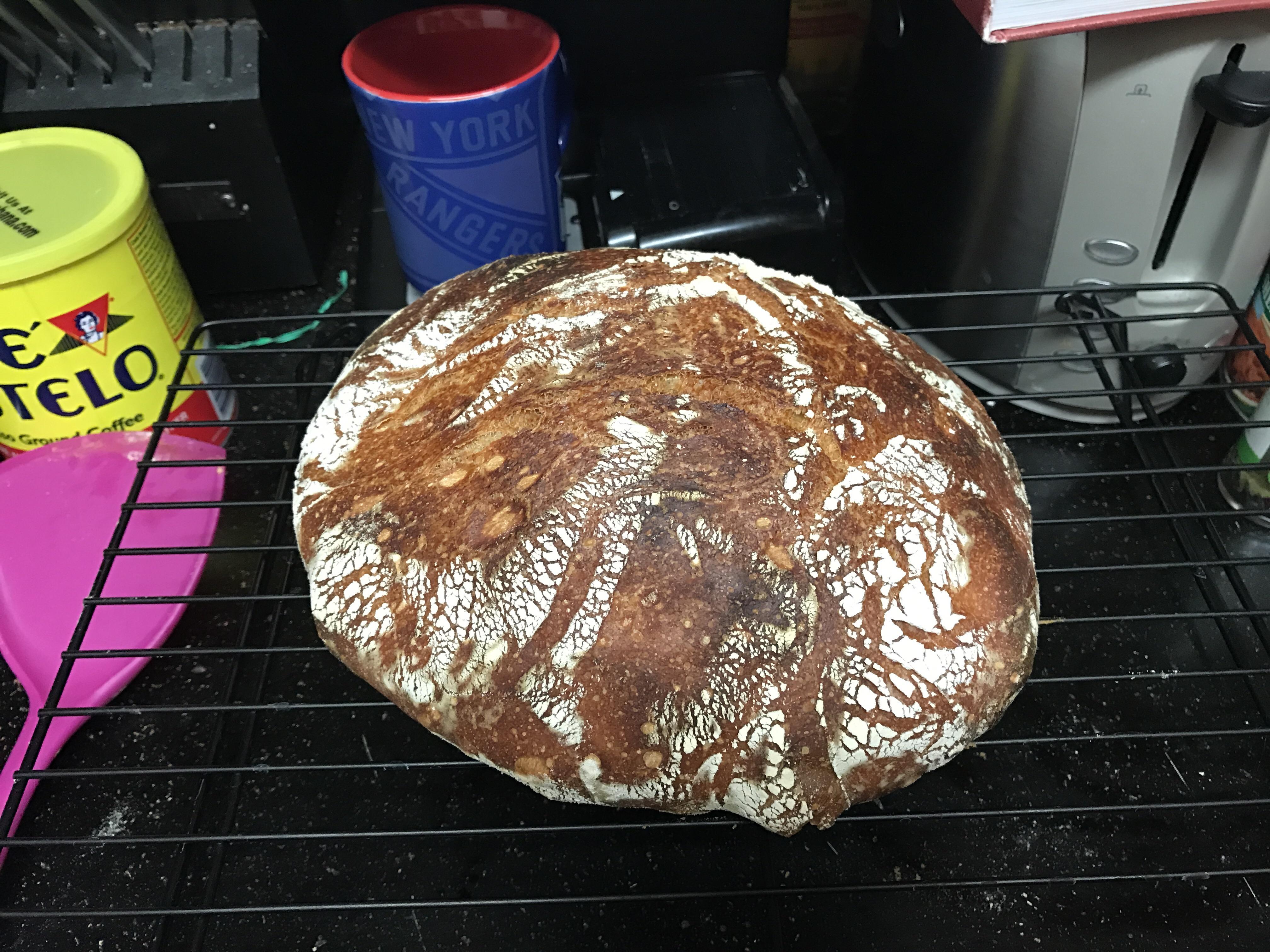 My first loaf using Flour Water Salt Yeast r/Breadit