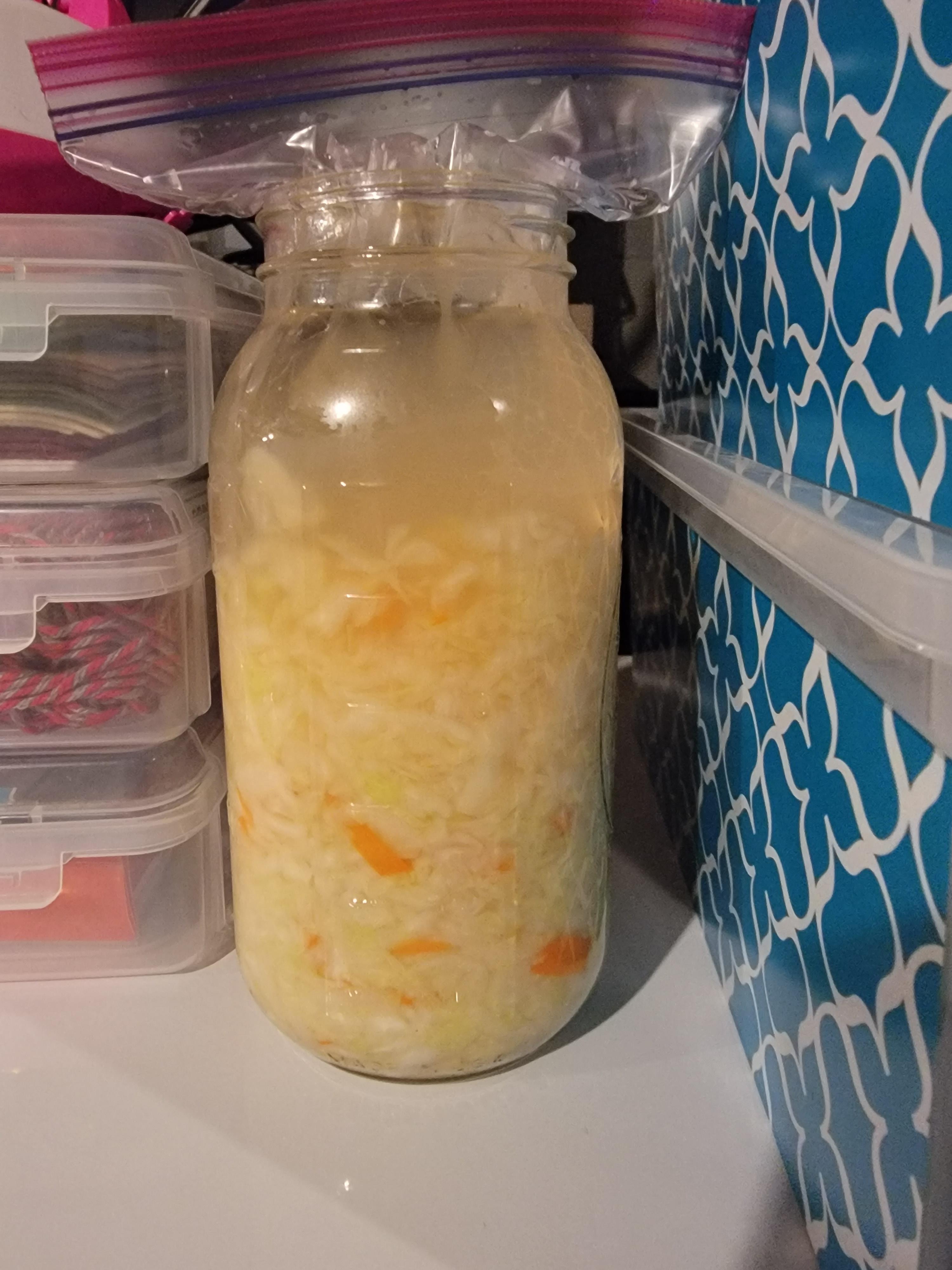 First time fermenting. I'm a bit nervous about using a plastic bag for weight. When the bag is