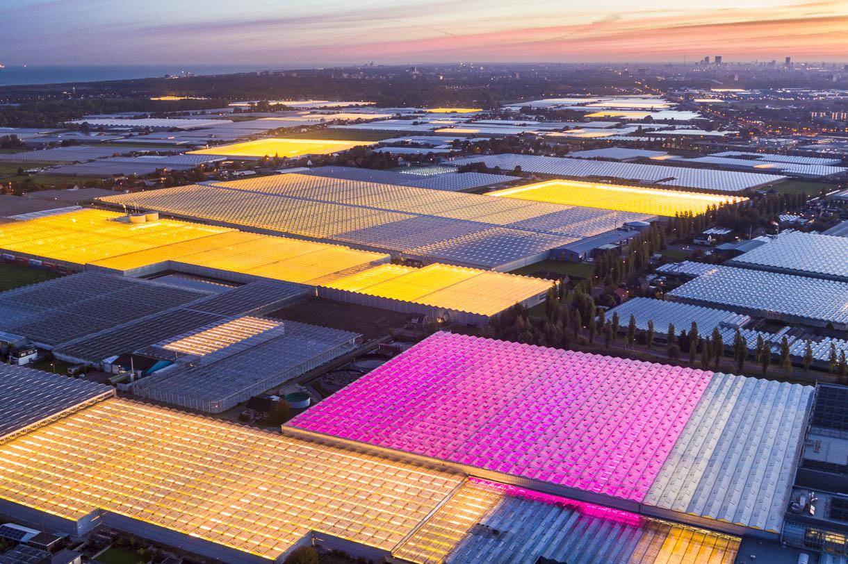 Glowing greenhouses in the Netherlands. Photo by Steinmetz r