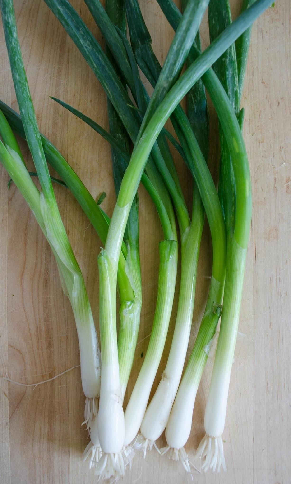 Should I use green onion as an alternative to leeks? WhatShouldICook