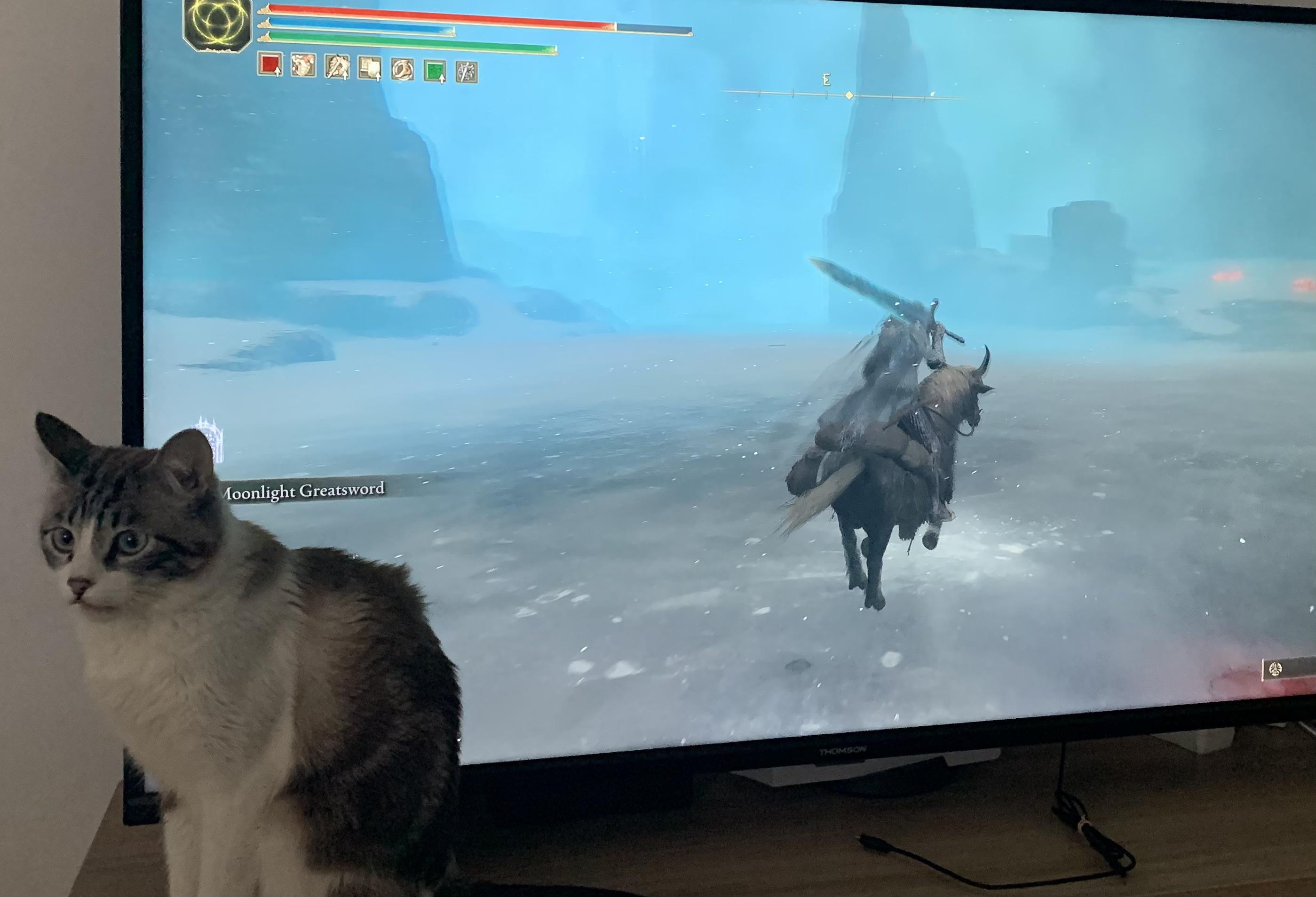 Elden ring hard mode You have to guess which items you have equipped