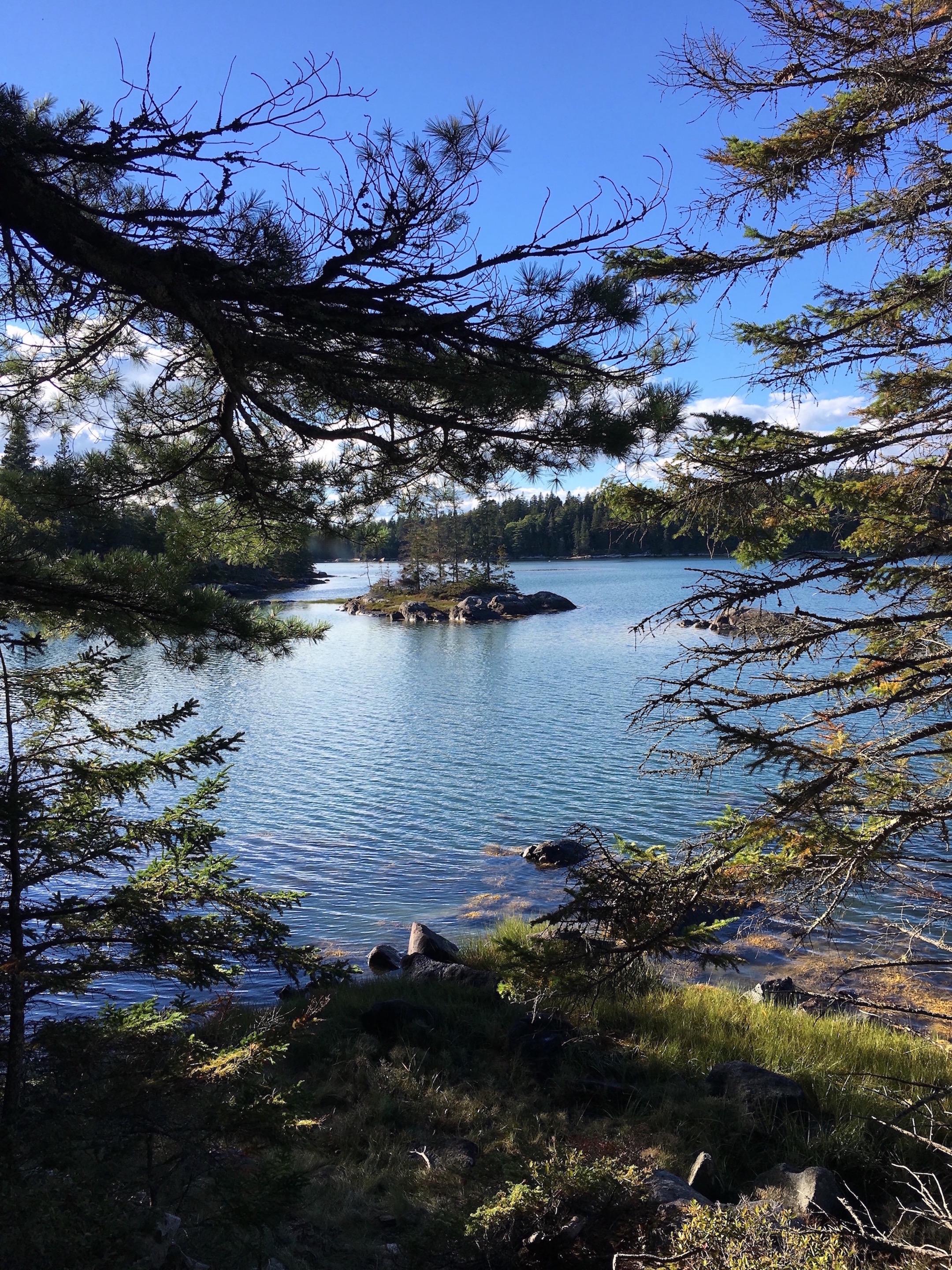 Vinalhaven trail, Hidden Island r/Maine