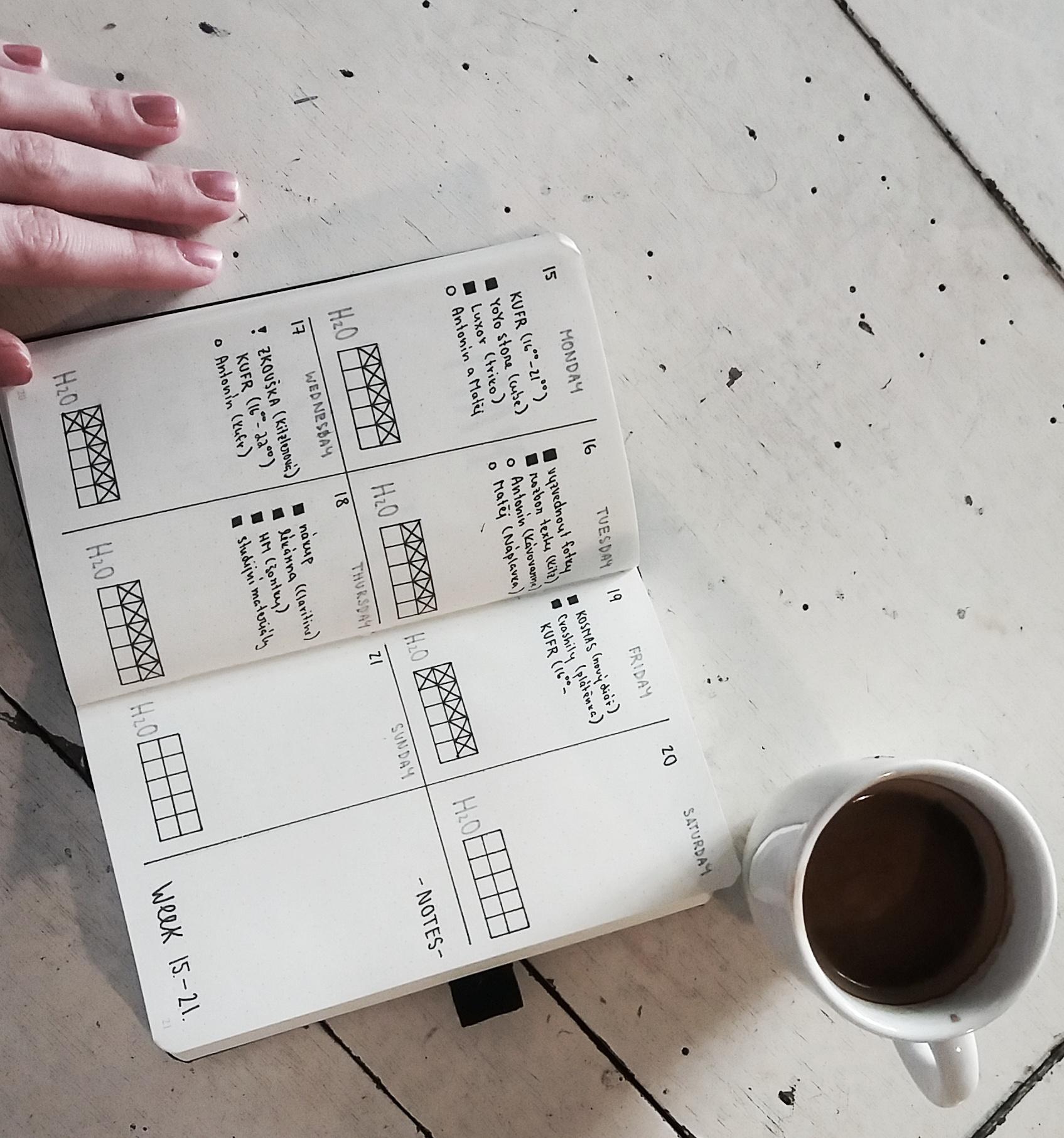 This weeks layout in my new Leuchtturm1917 A6 dotted journal