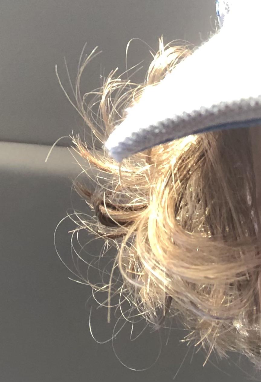 Is my hair damaged? r/FancyFollicles