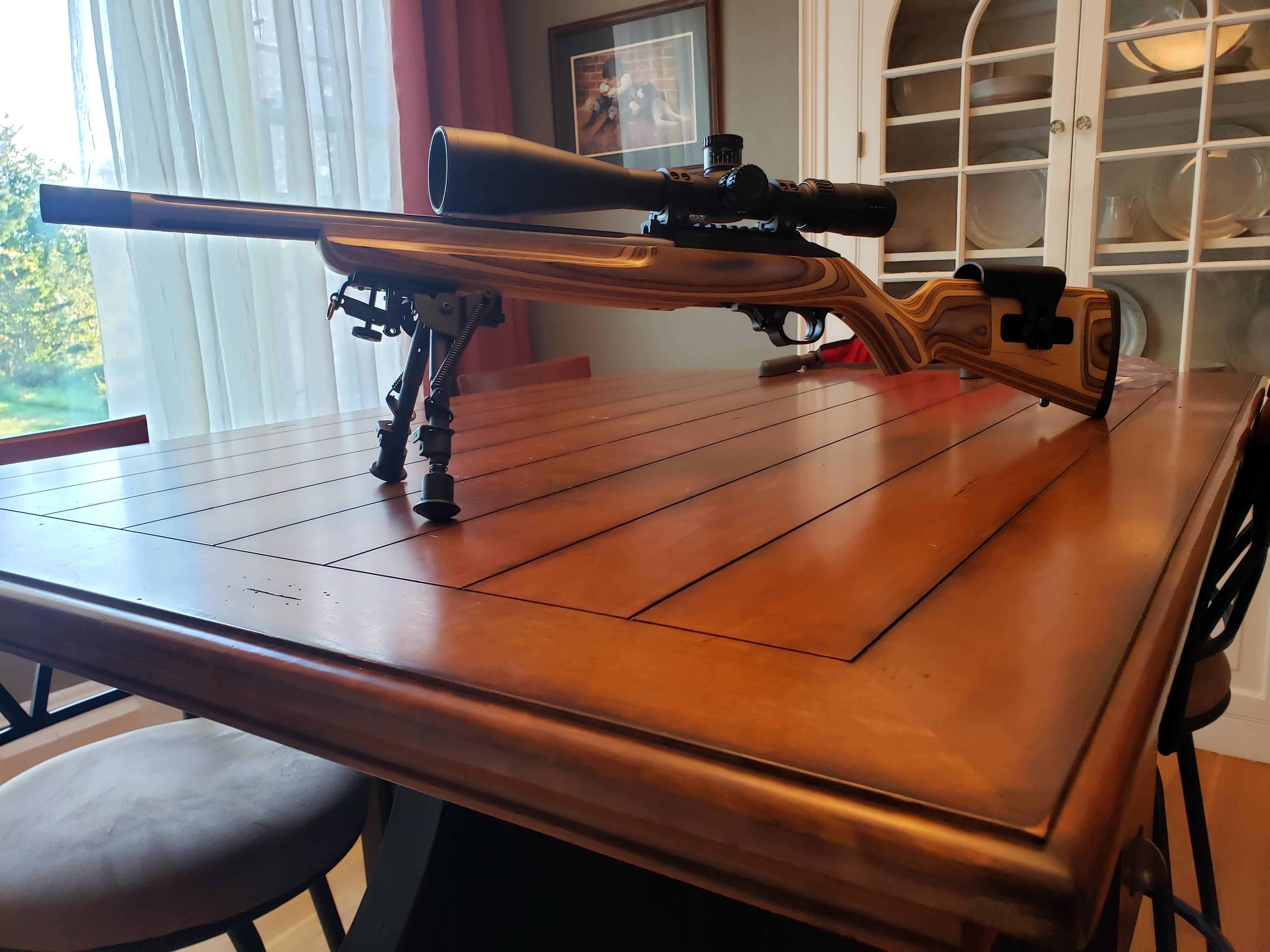 My "long range" 22lr r/guns