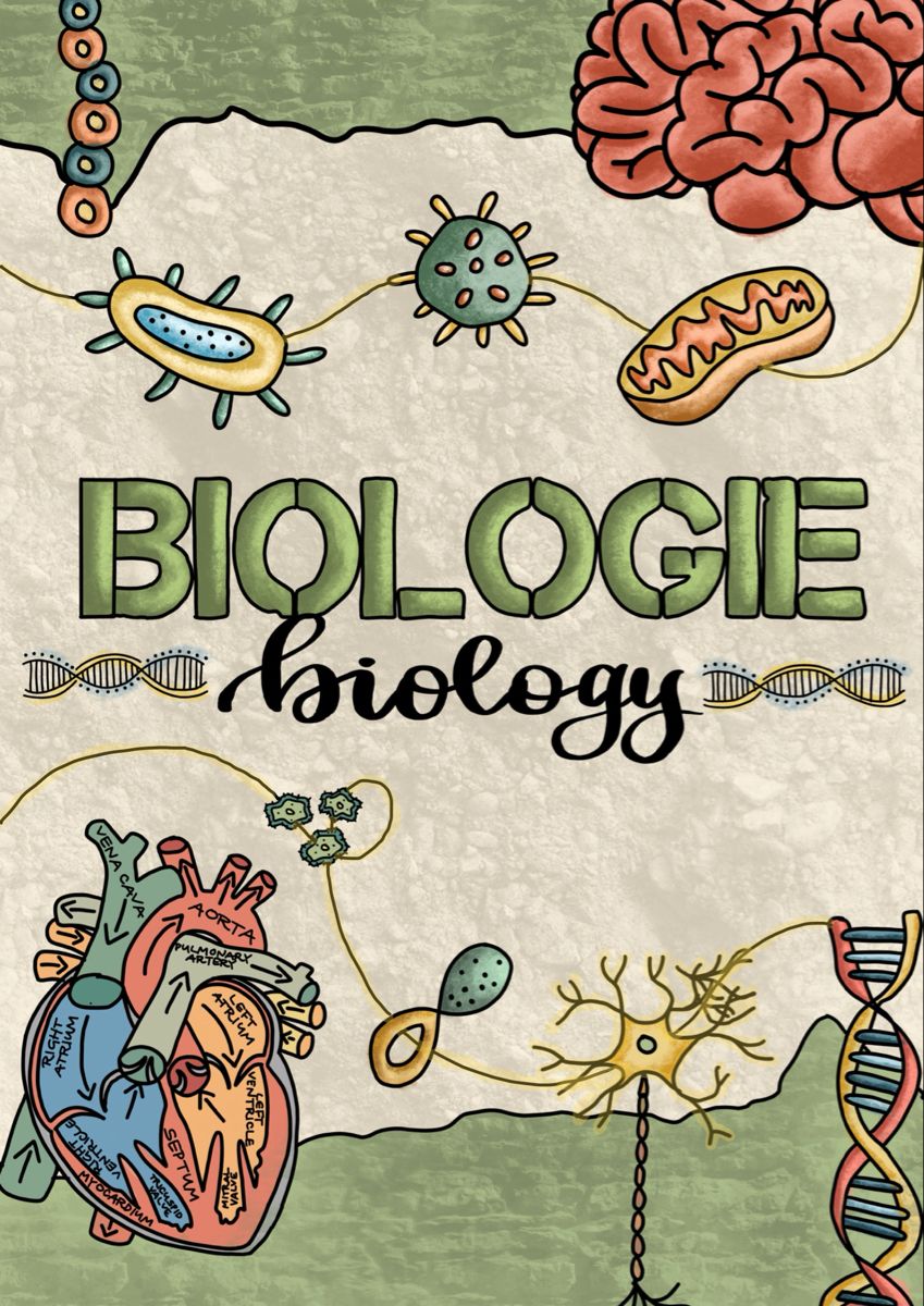 Portada para tu cuaderno de biología ¡pueden descargarla ya! r