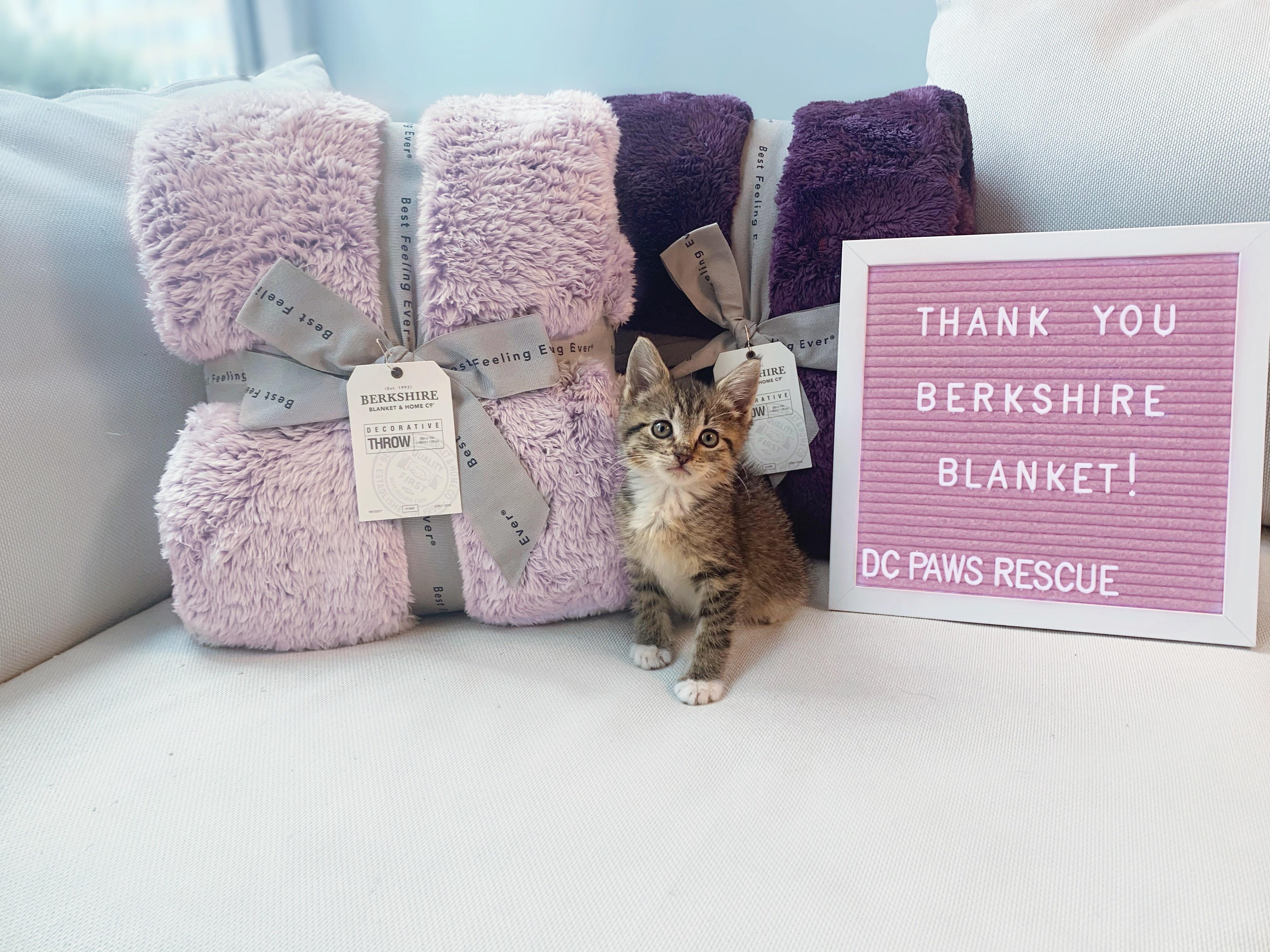 Berkshire Blanket learned our animal rescue uses their blankets to