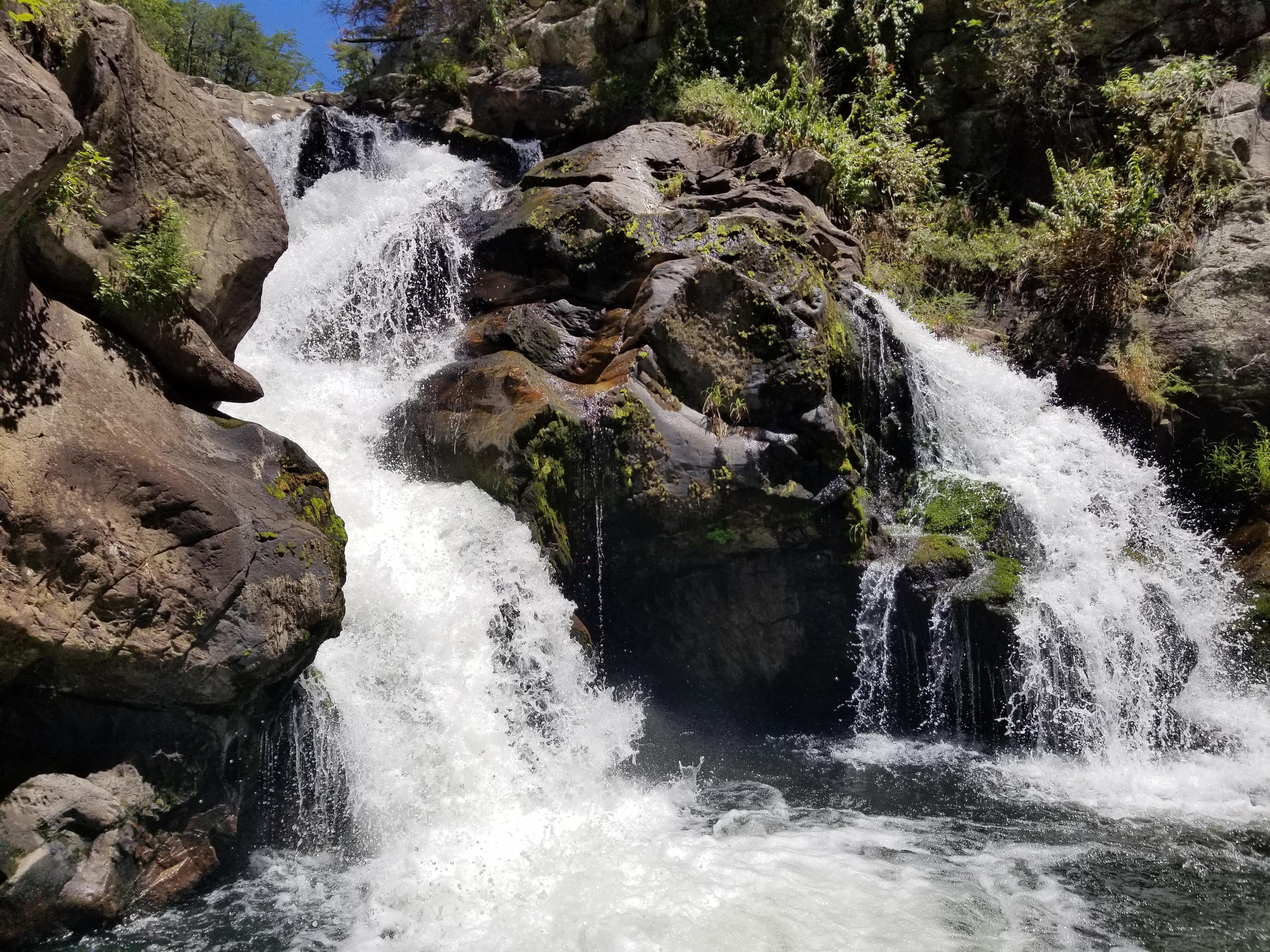 Jacks River Falls, Cohutta Wilderness, USA r/hiking