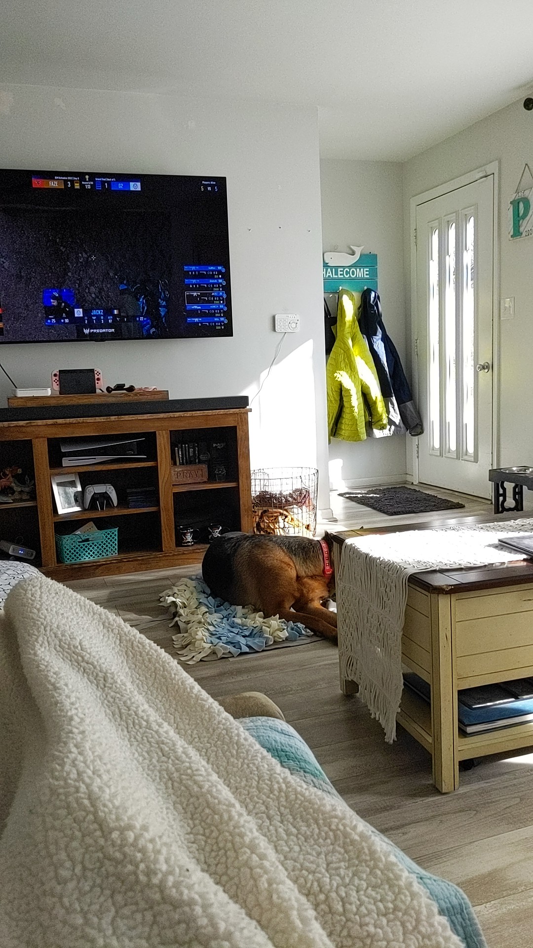 Snuffle mat also doubles as a blanket 🤣🤣🤣 r/germanshepherds