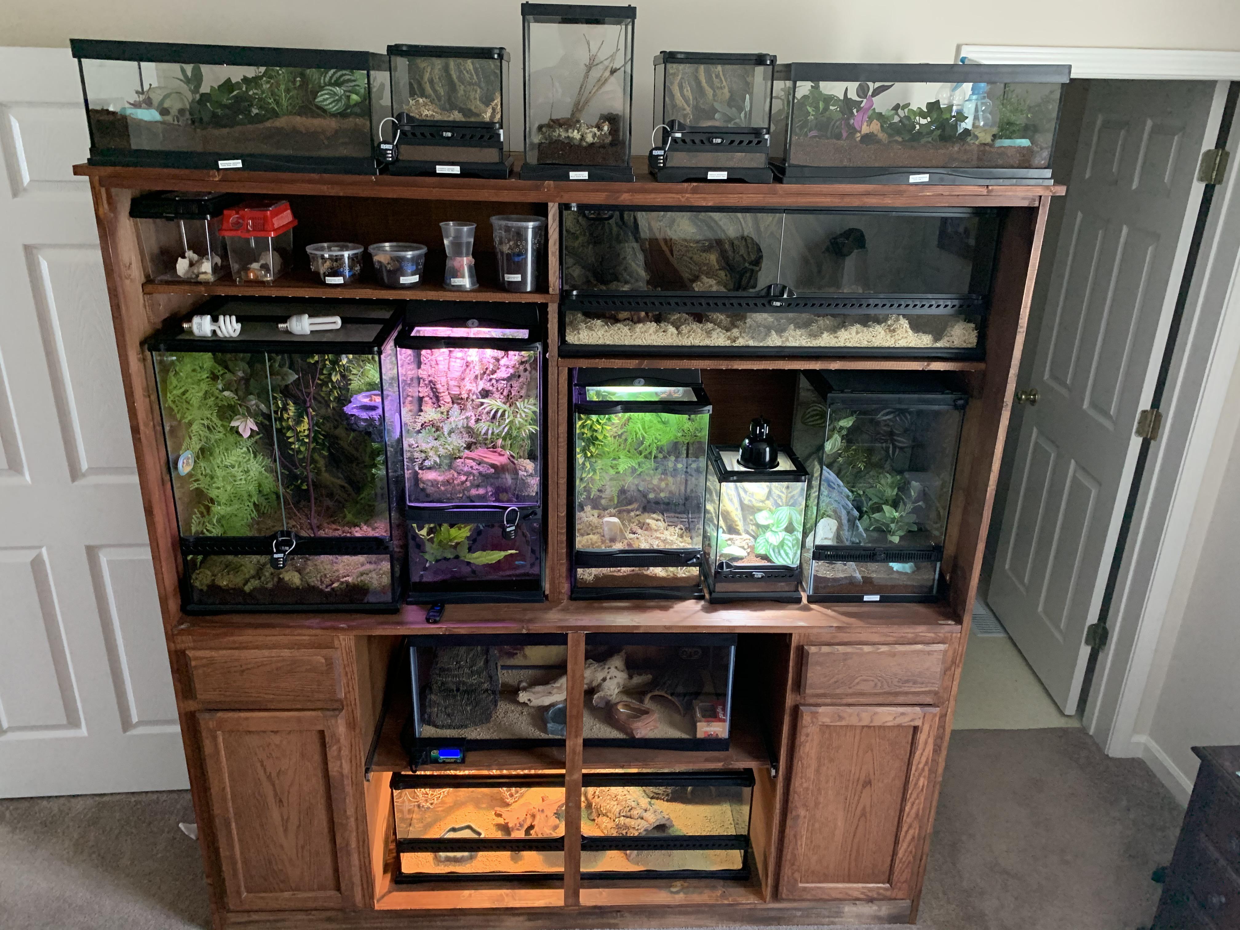 Just finished my terrarium stand. Looking to add a gargoyle gecko to