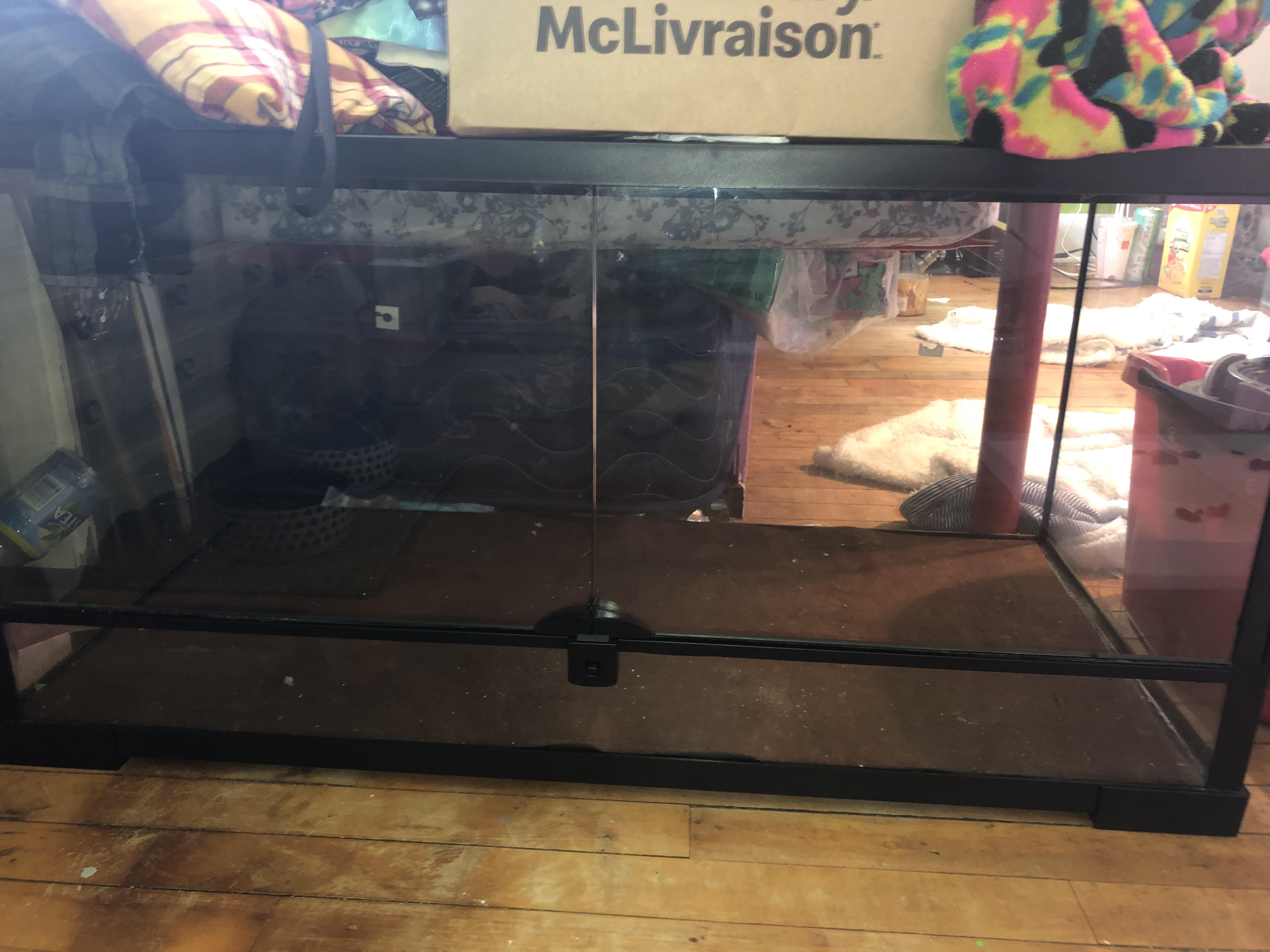 Reptile I could own in a 20 gal tank? reptiles