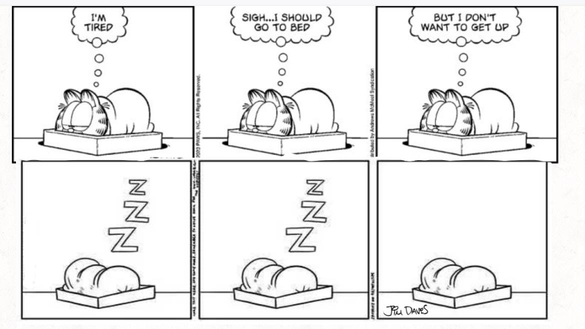 The last Garfield comic r/garfield