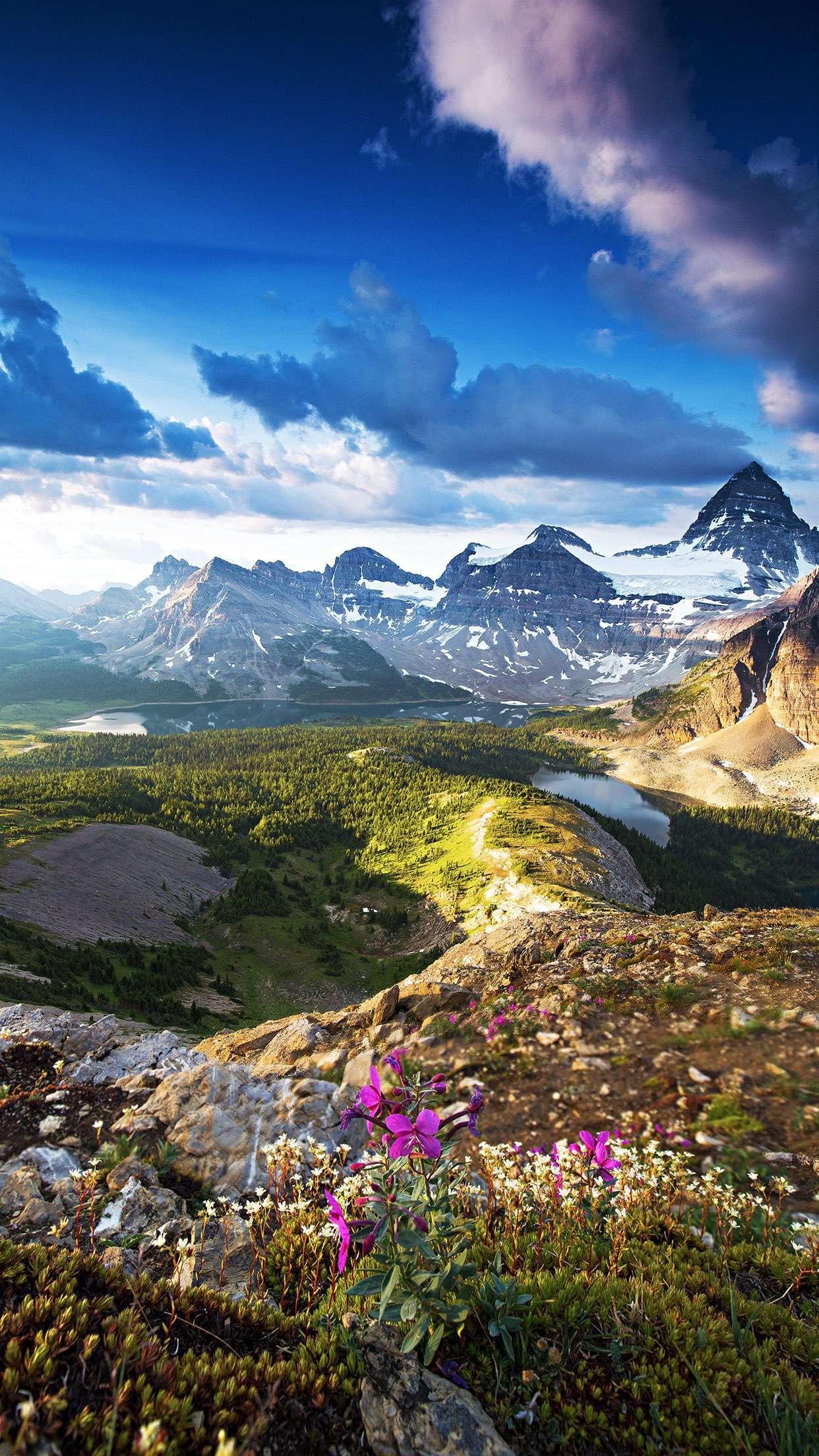 My favorite IPhone XS Max Wallpaper! iphonexwallpapers