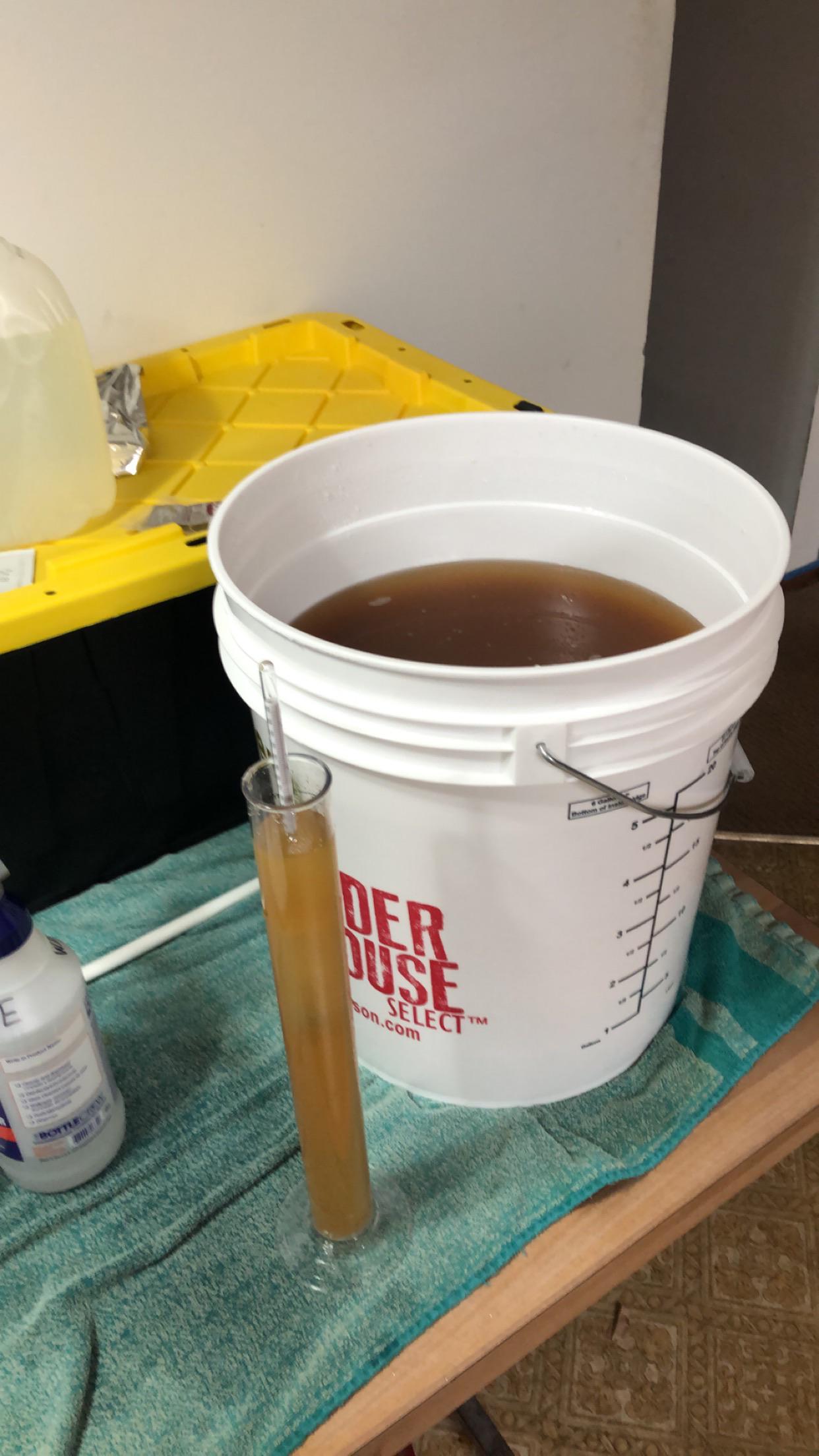 I started my first five gallon batch. It’s a gewurztraminer winexpert