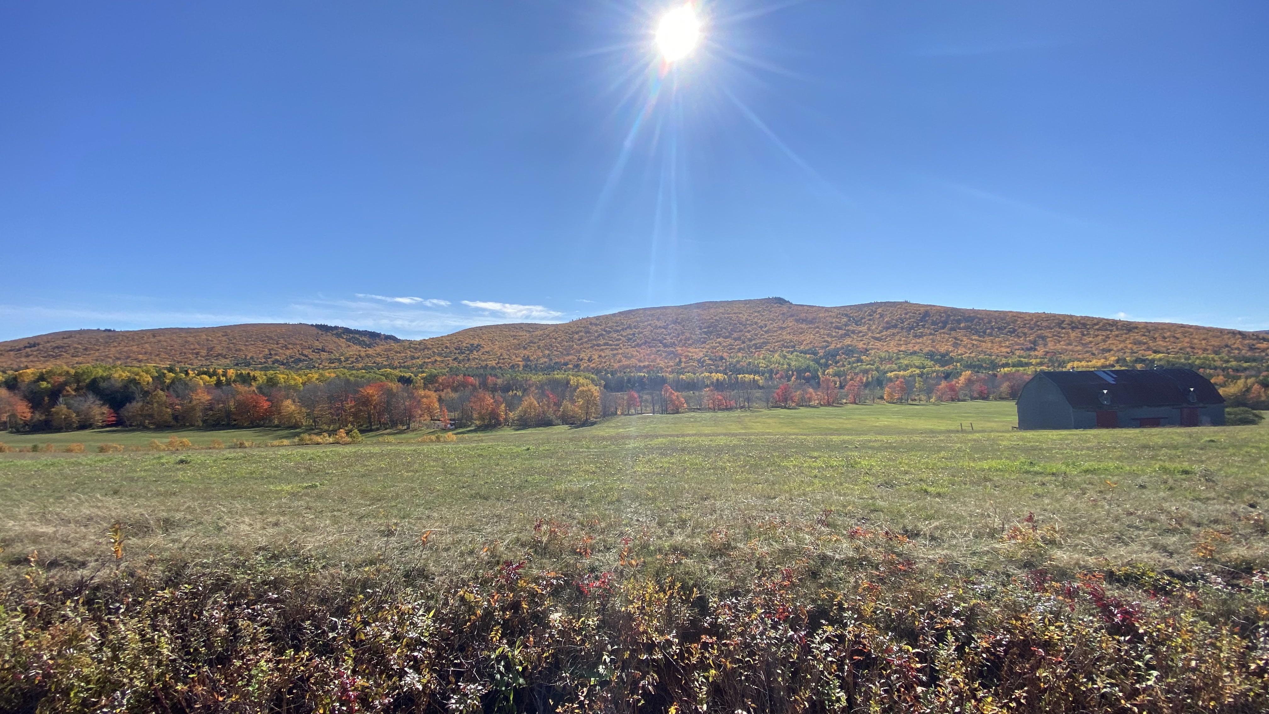 Wentworth, Nova Scotia r/canada