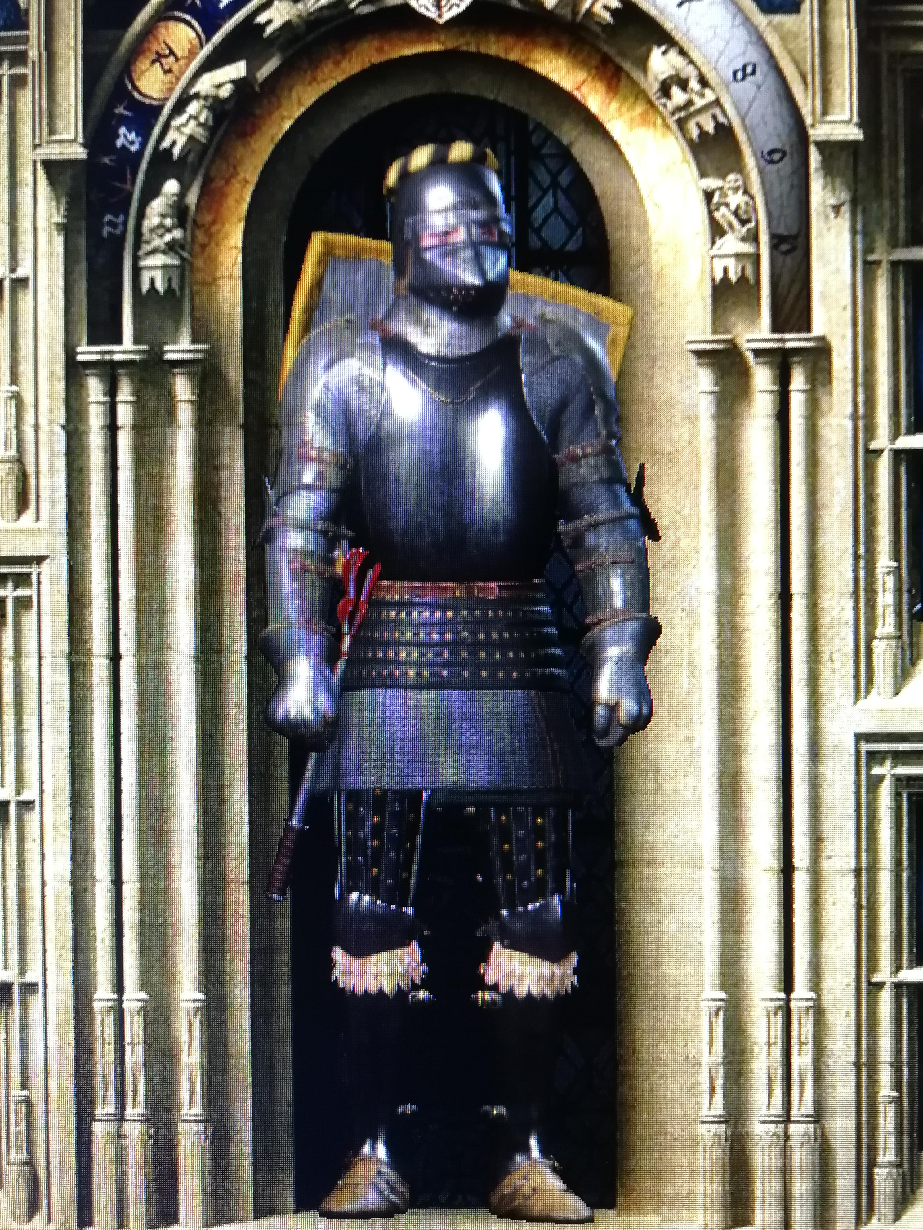 Finally managed to get the whole LeipaArmour! I think its pretty cool