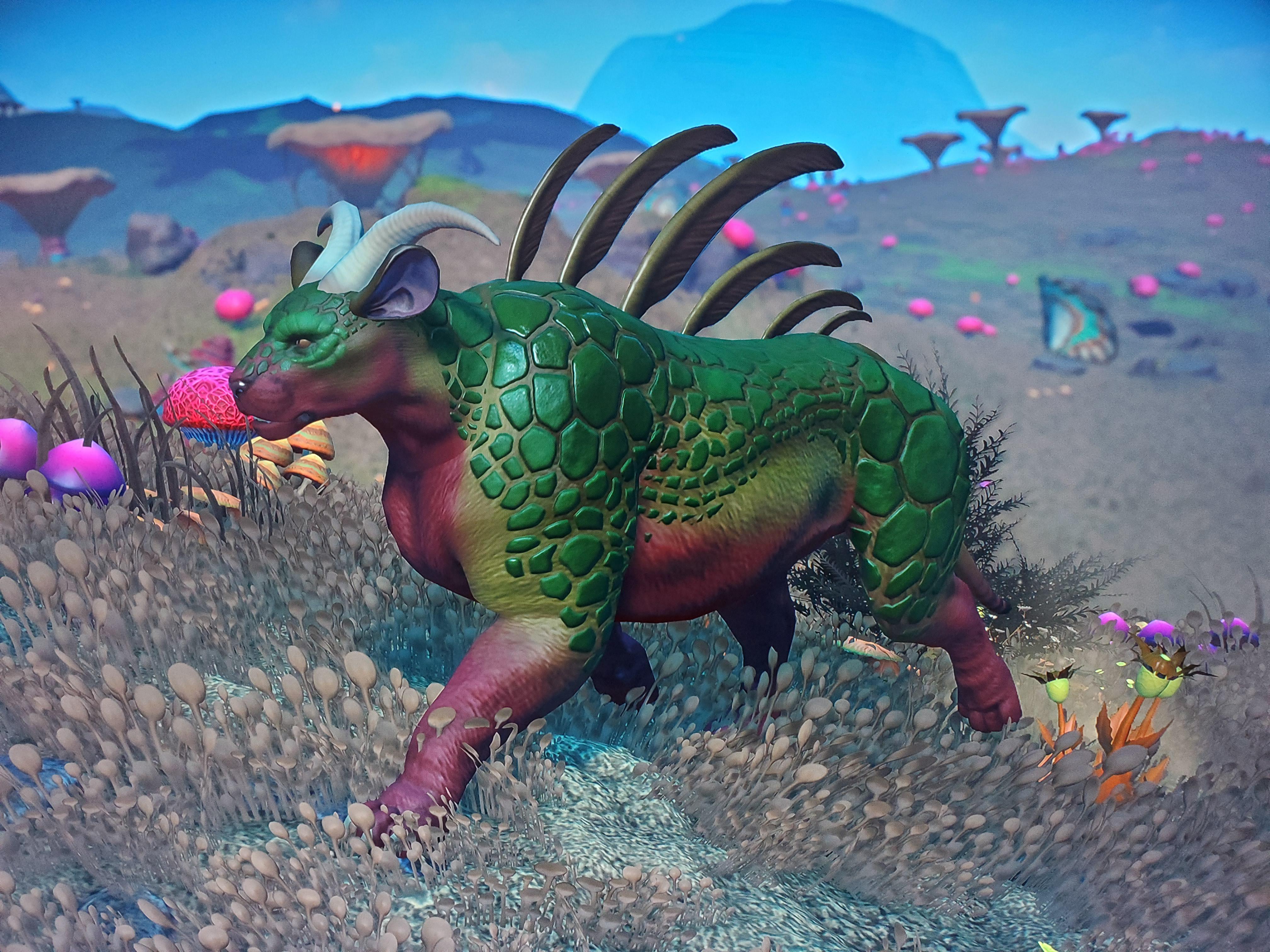 Where to begin NMS_Zoology