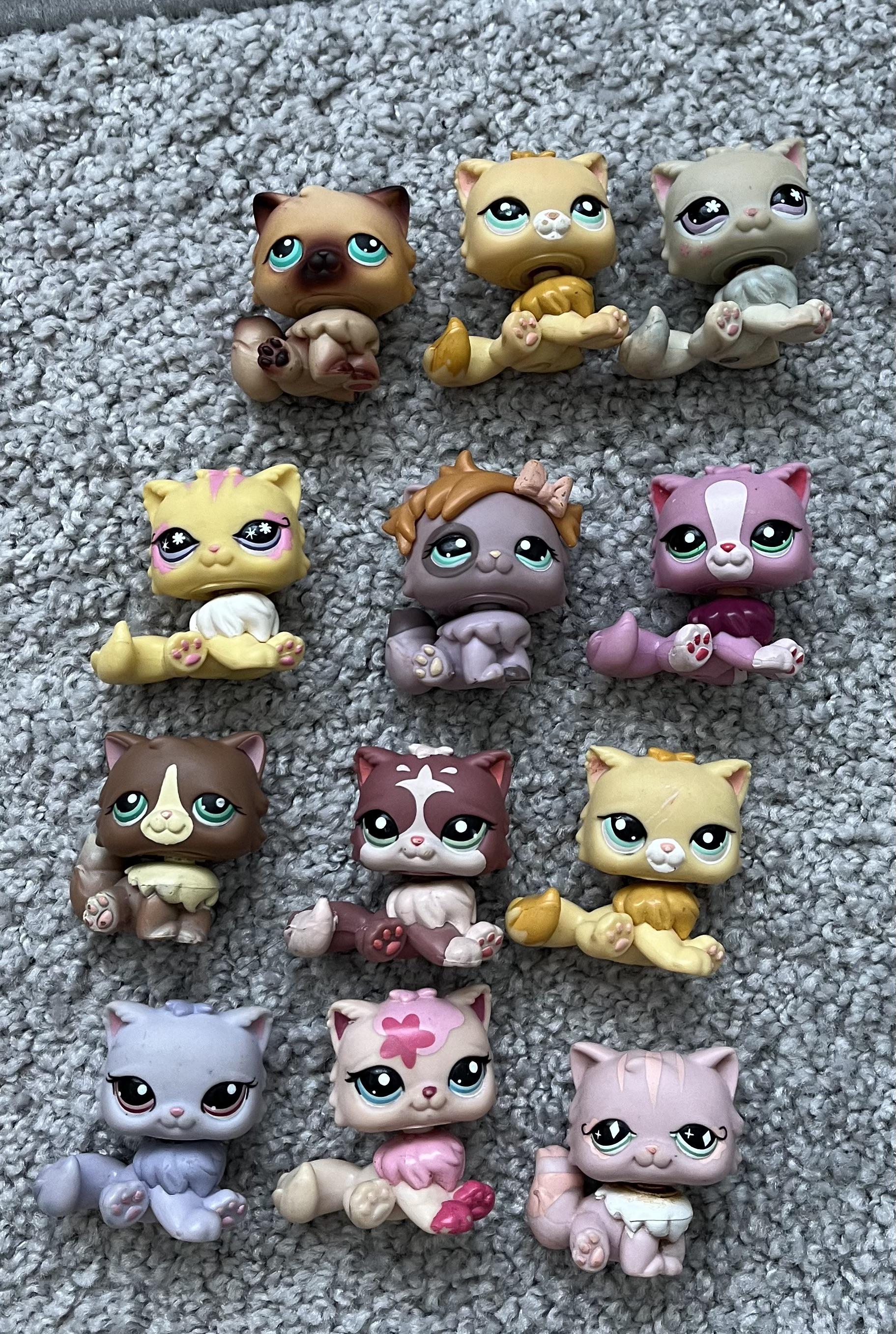 Thought I'd share my persian cat collection 😺