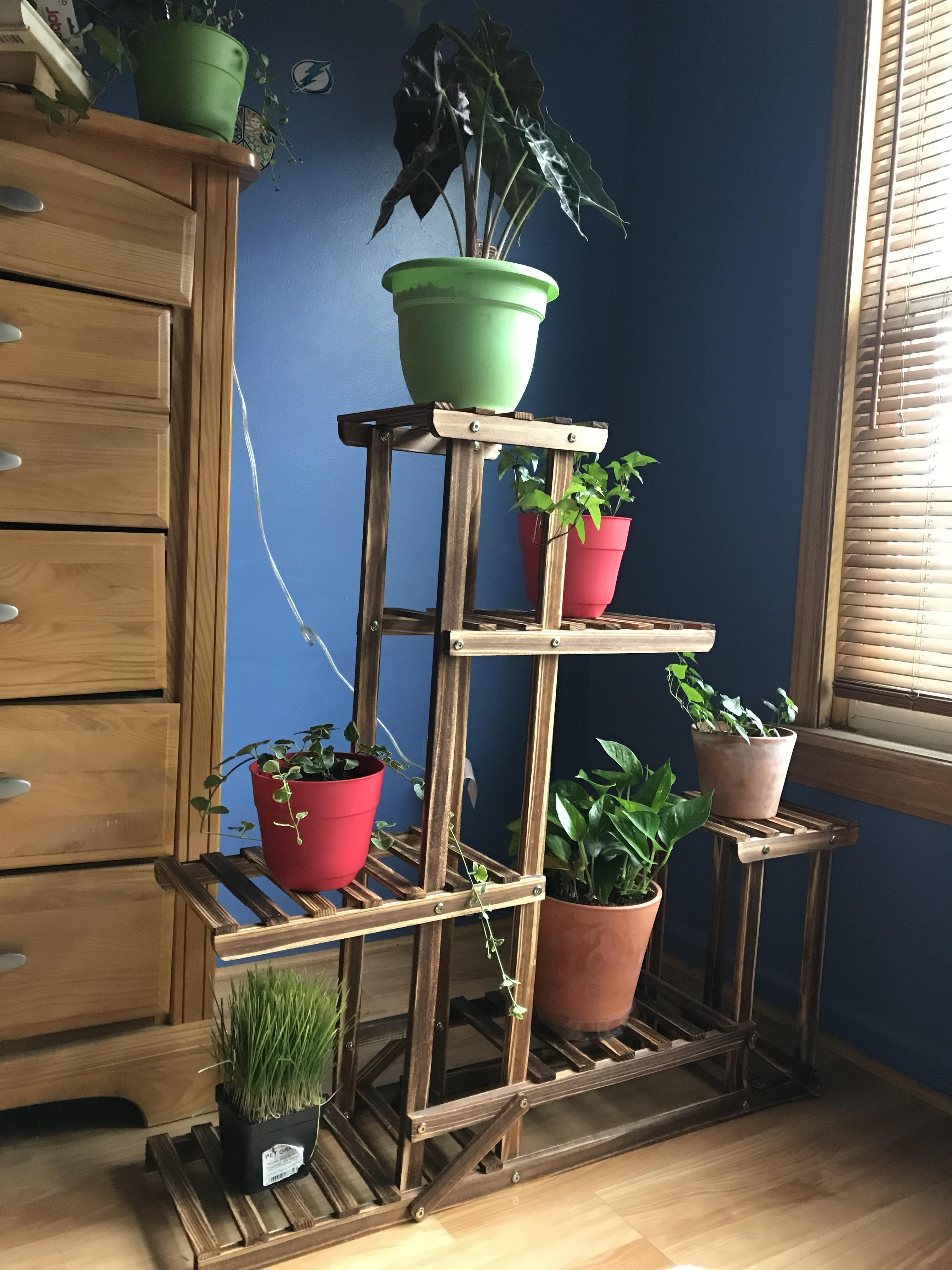 Put this together all by myself! My plants catch some good morning sun at this angle r/houseplants