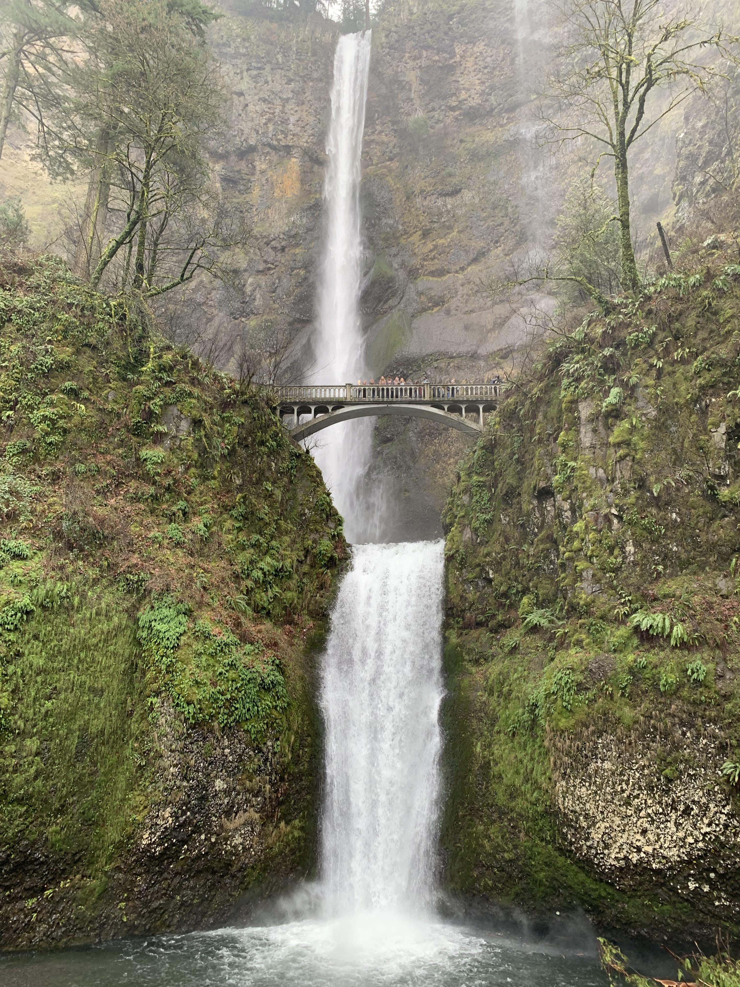 Multnomah Falls! Hike was beautiful just after the rains. hiking