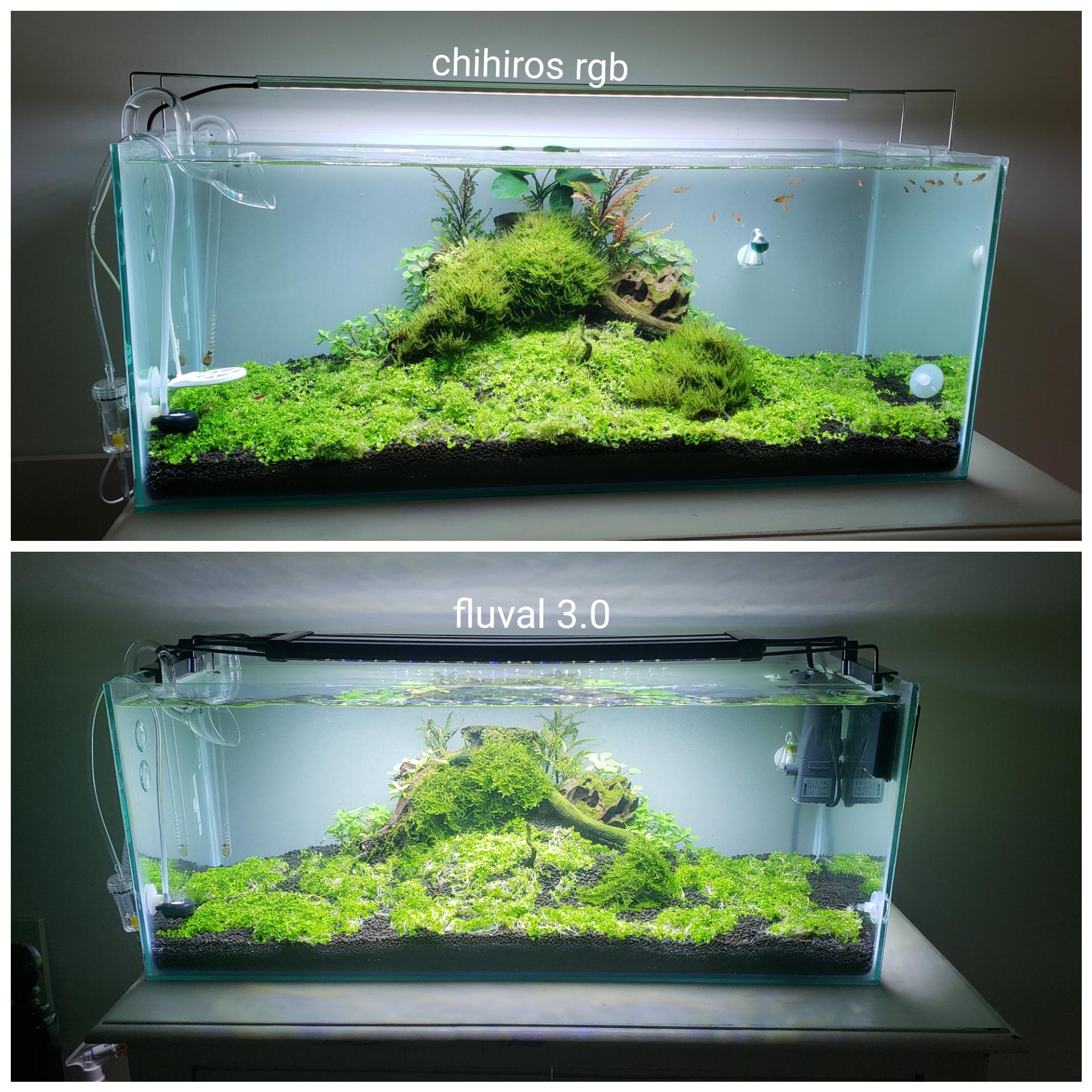 Loving this chihiros rgb. Returning the fluval 3.0