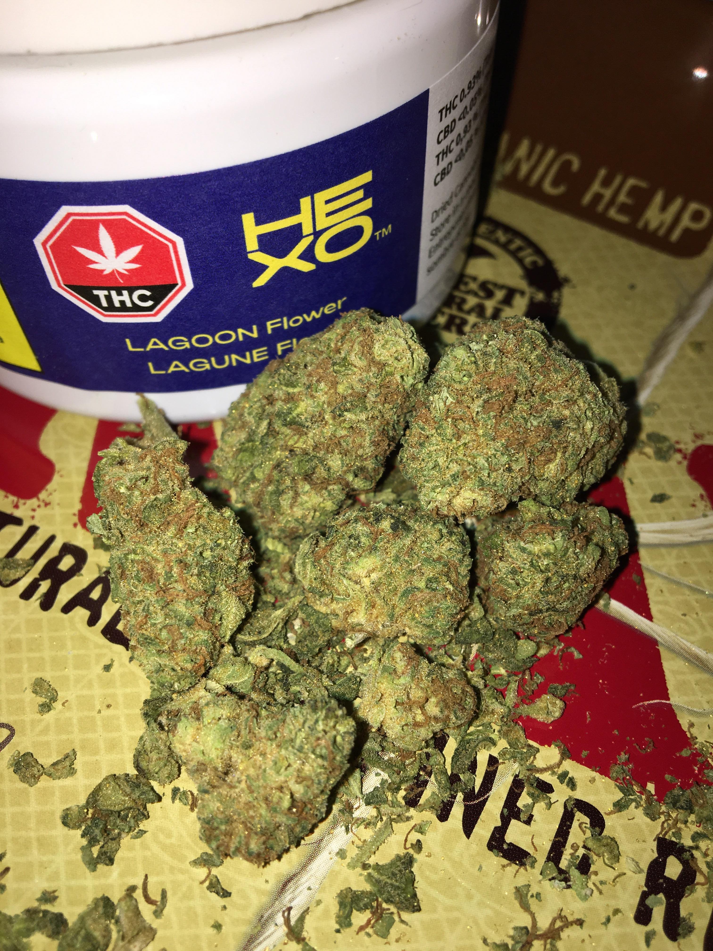 Lagoon by Hexo (Northern Lights x Blueberry) SQDC RecPics