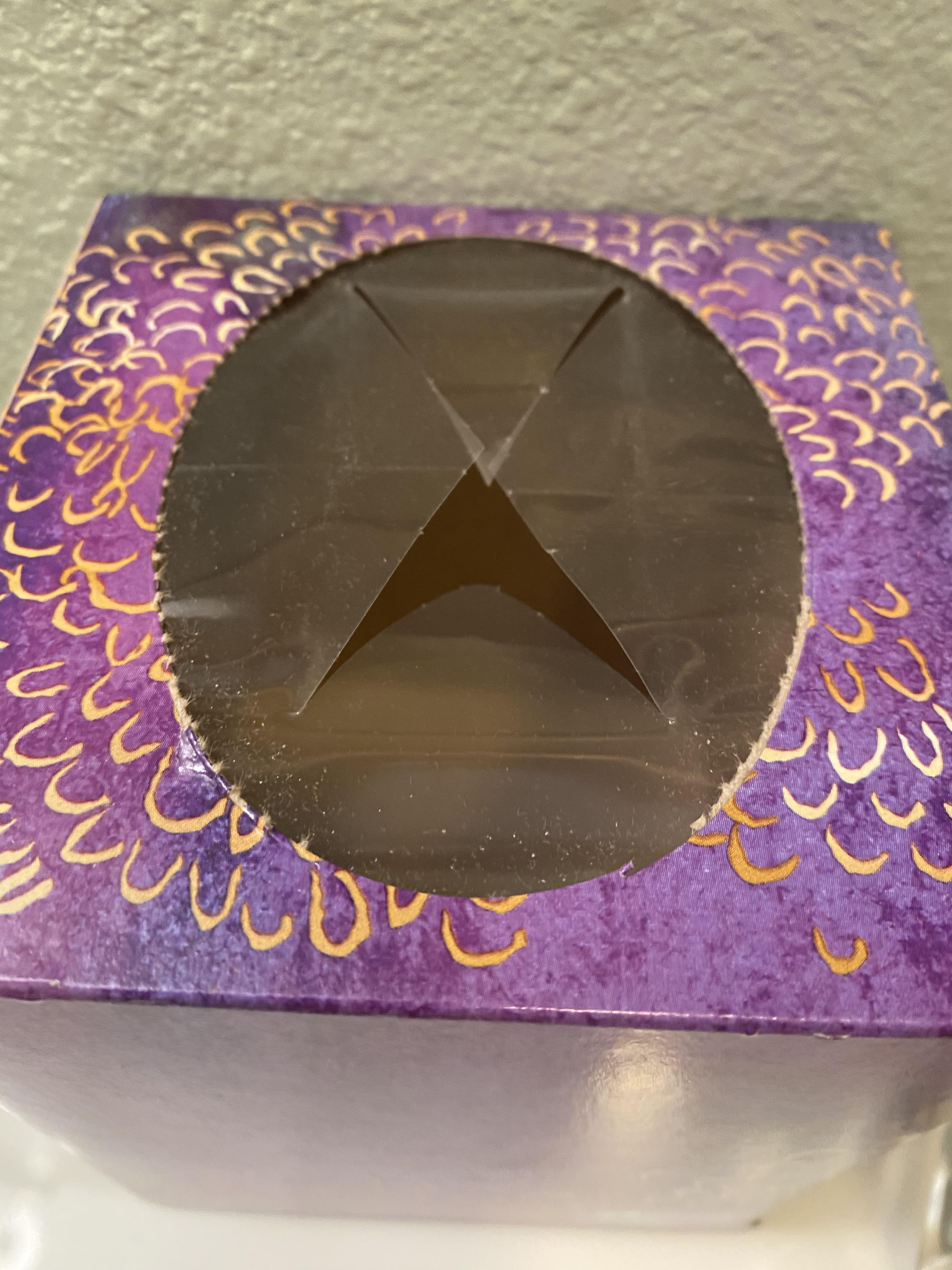 This empty Kleenex box looks like a cat who is about to sneeze r