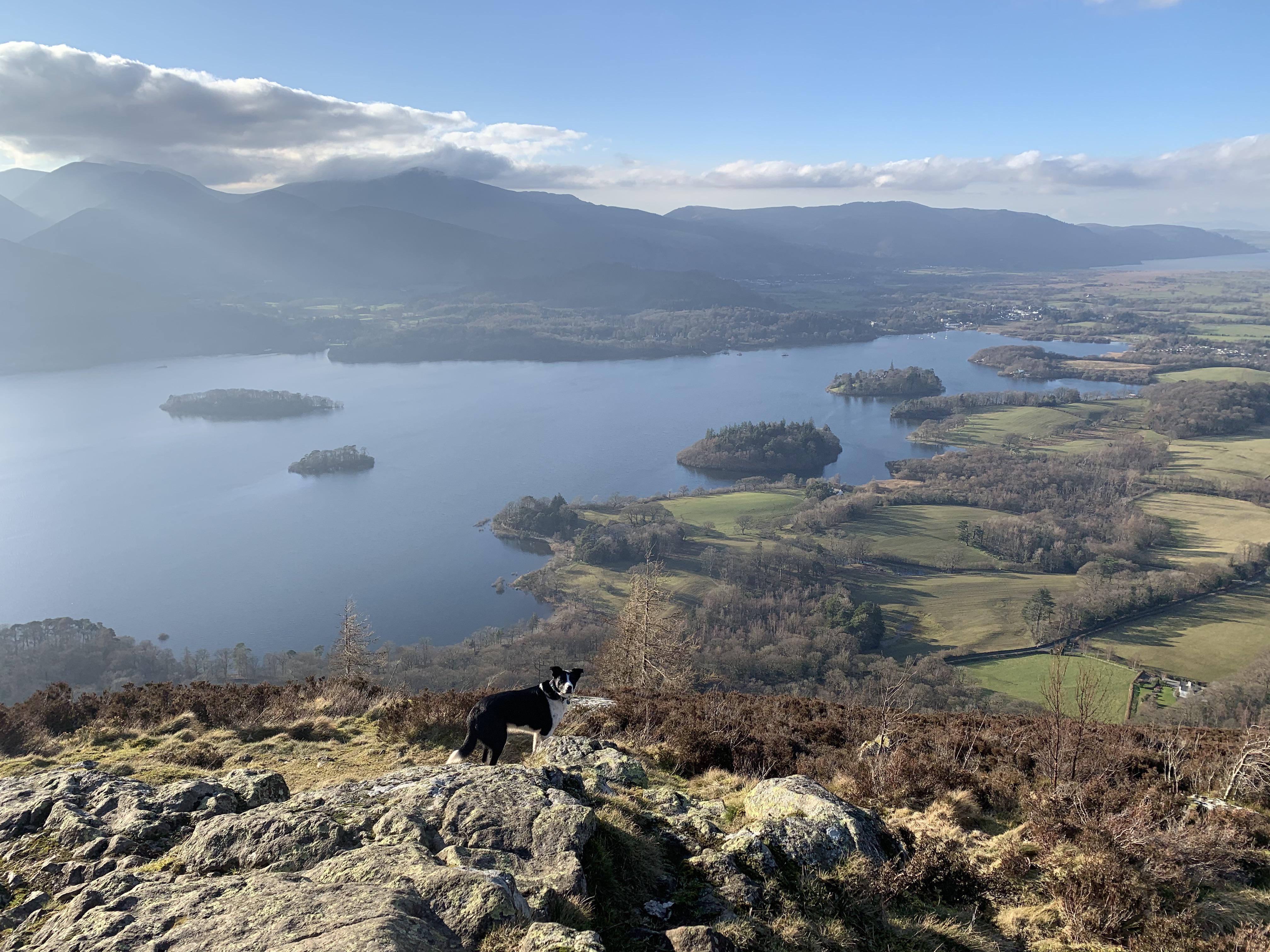 Sunday afternoon amble up Walla. Definitely one of my favourite walks