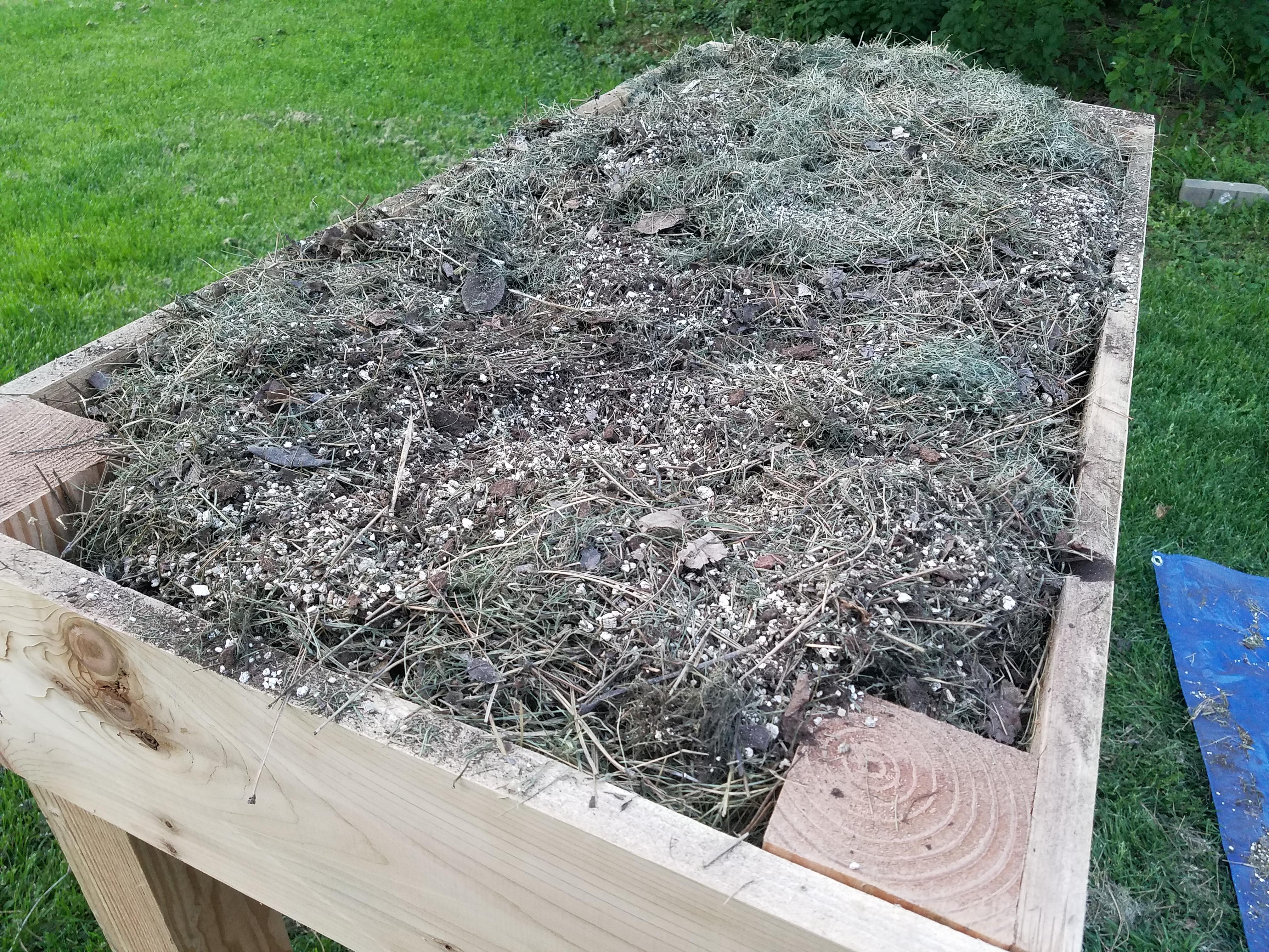 Am I doing this right? Mel's mix 1 part vermicilite, 1 part peat moss, 2 parts old grass