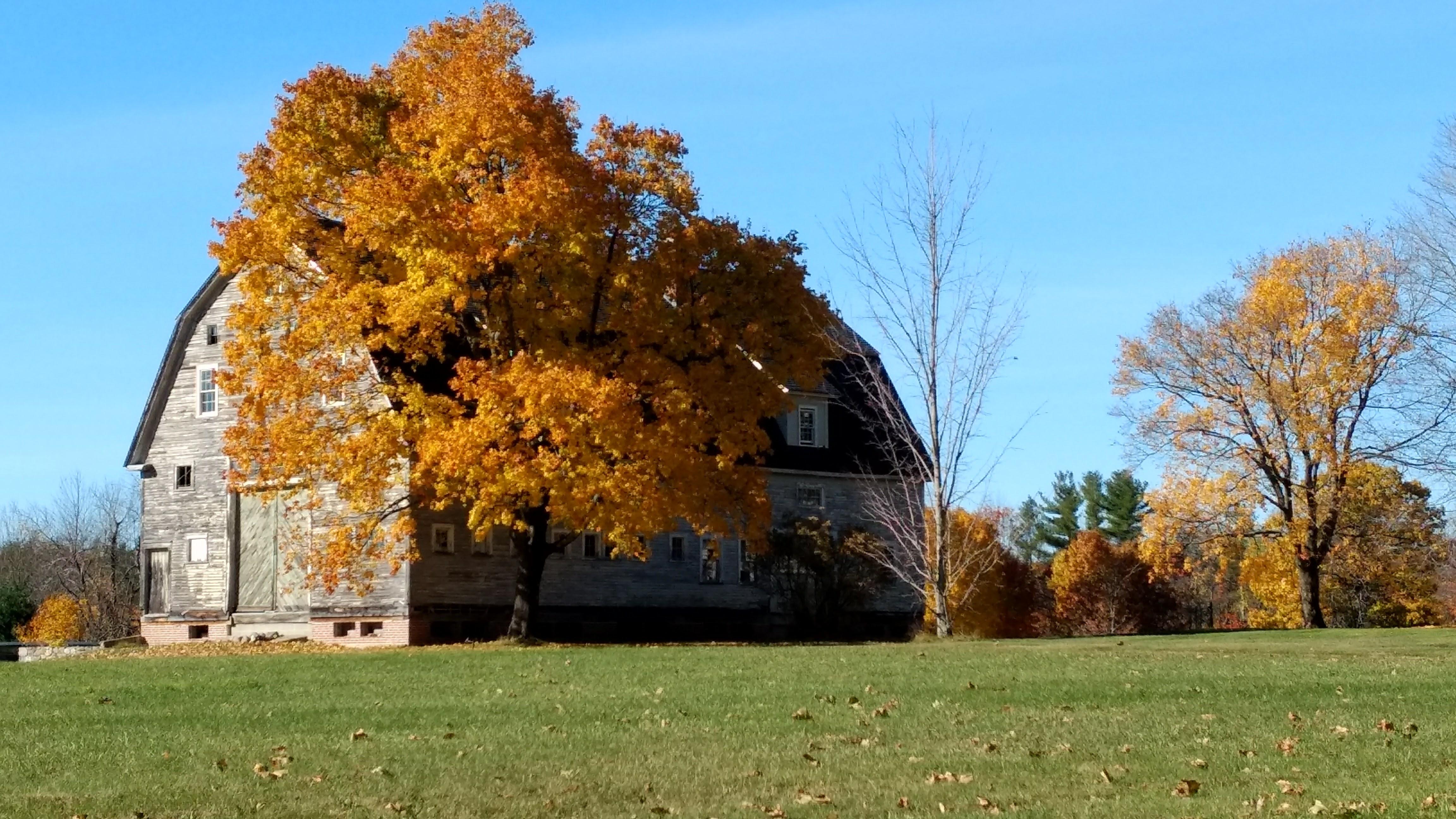 Old barn with fall colors in Chester NH r/newhampshire