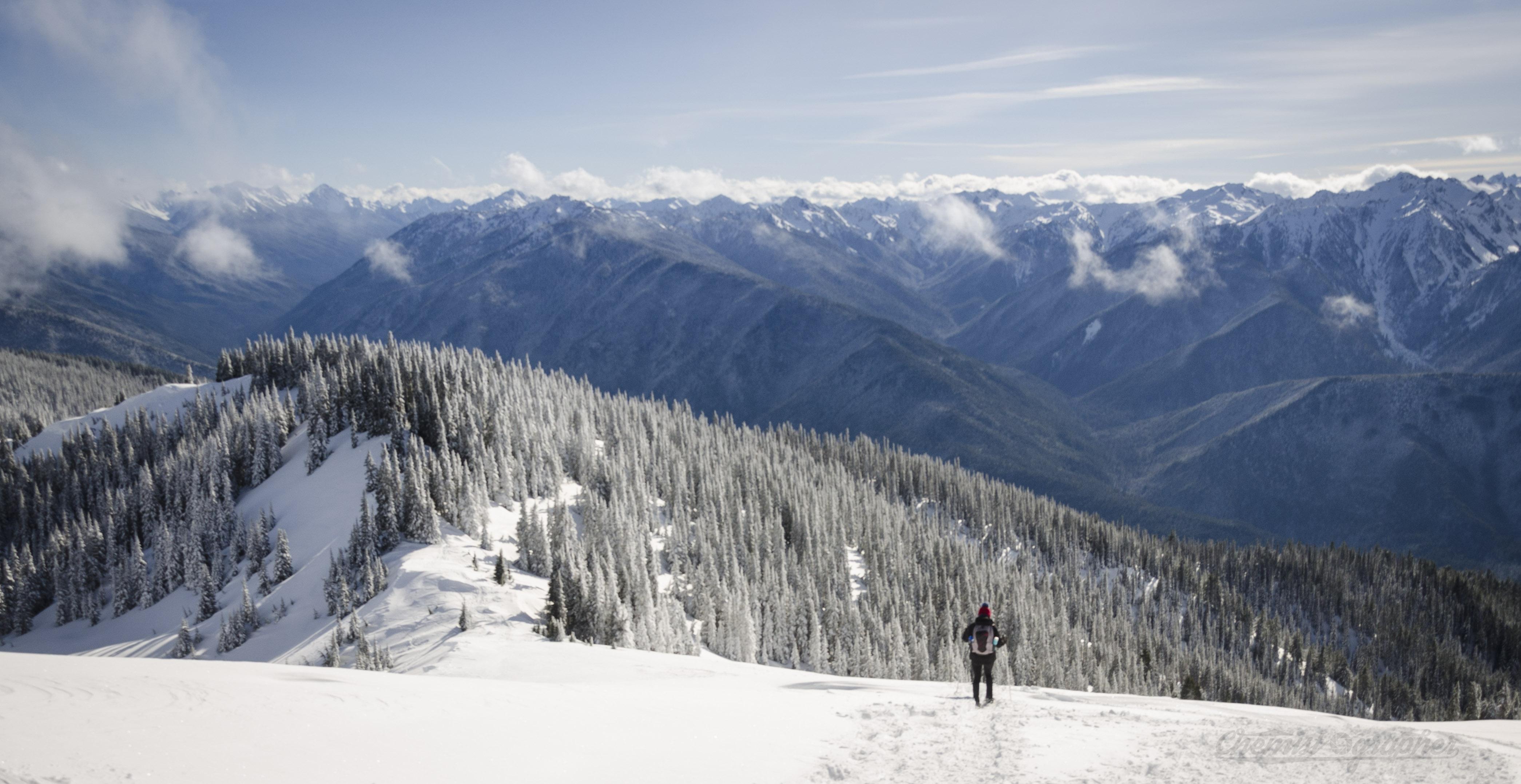 Our first time snowshoeing Hurricane Ridge, Olympic National Park r
