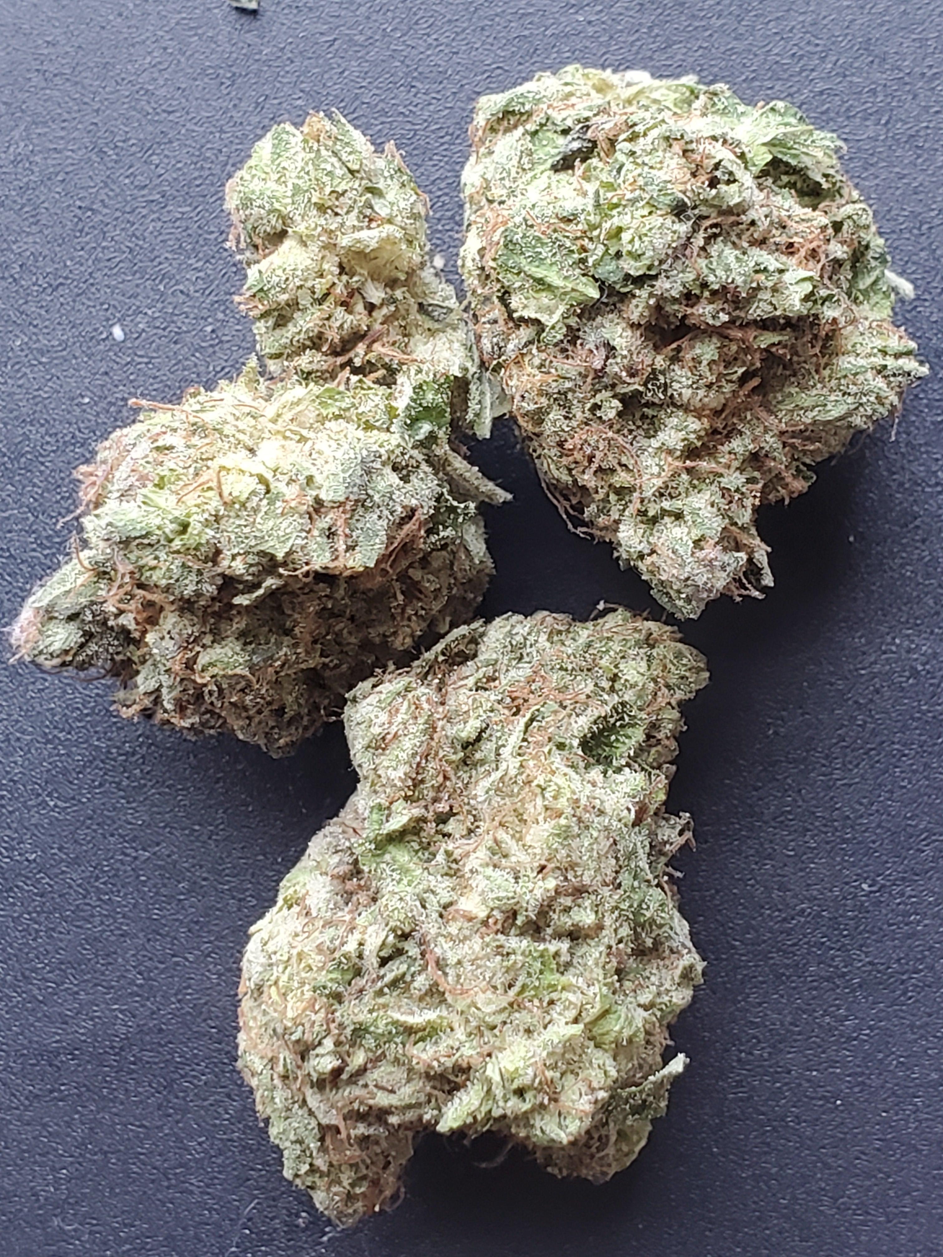 G13 Gas (Low Price Bud) July2nd r/MOMpics