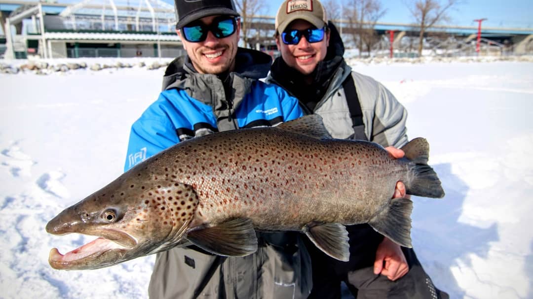 Absolutely German brown trout I caught through the ice on Lake