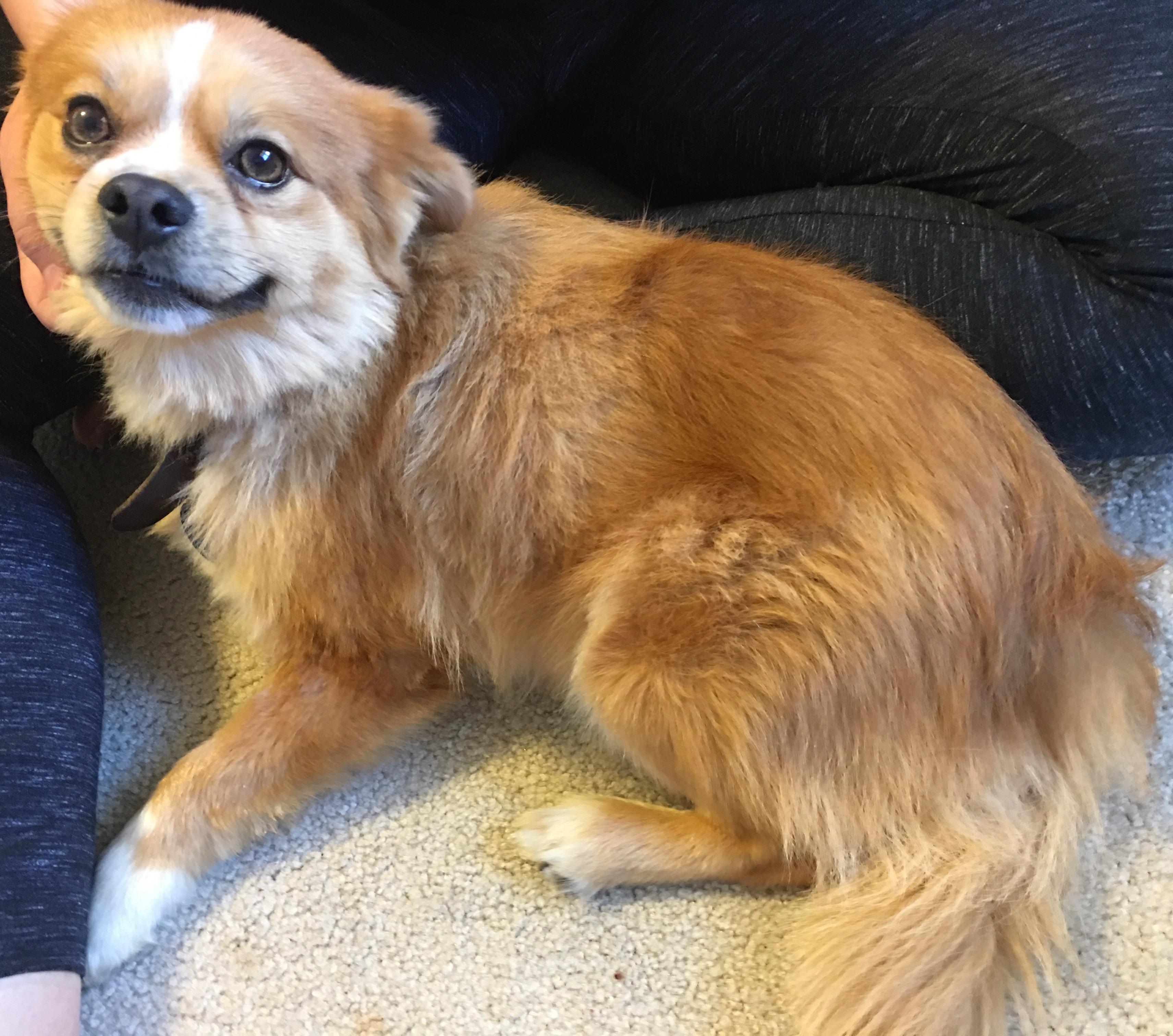 overview for usernamechecksout091