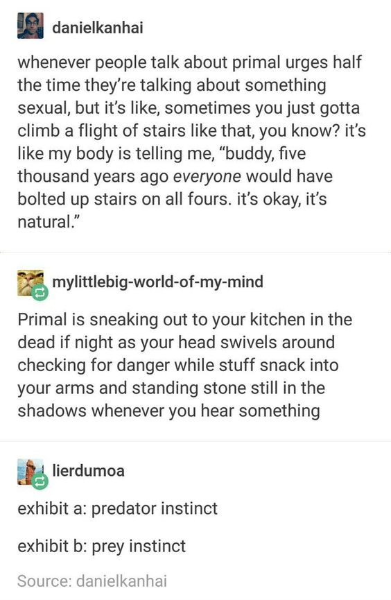 Going up the stairs on all fours is so satisfying and I don't know why