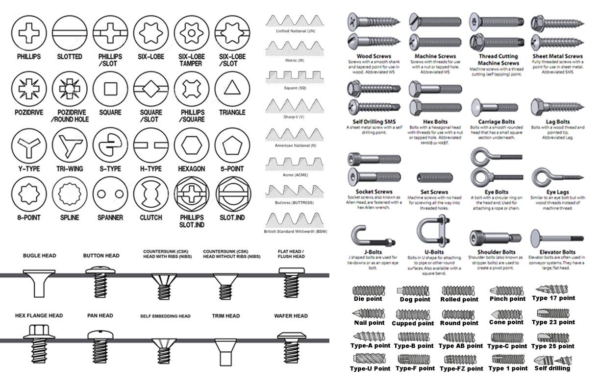 A cool guide to screw types r/coolguides