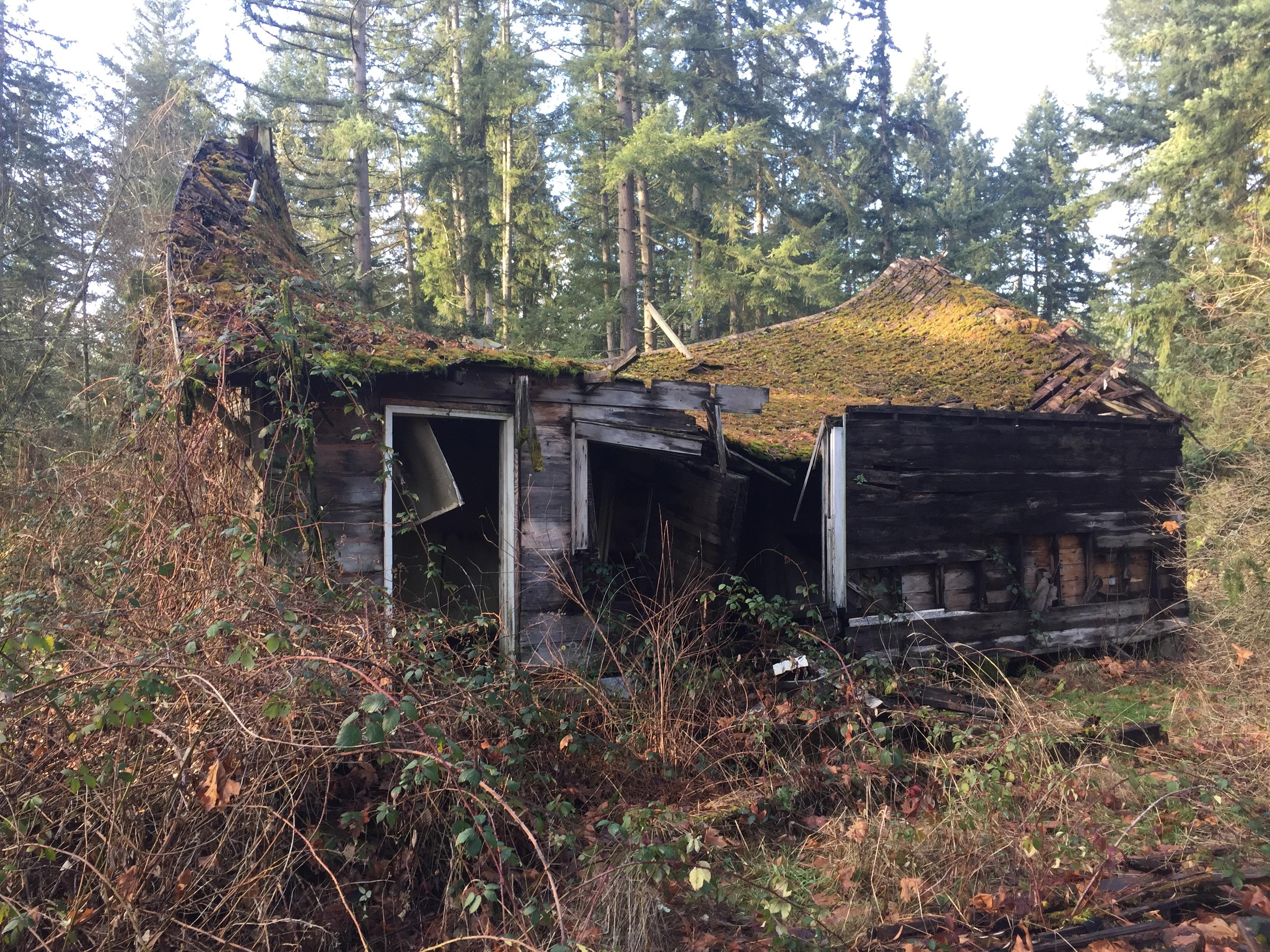 Abandoned house in Western Washington [OC] [3254x2448] r/AbandonedPorn