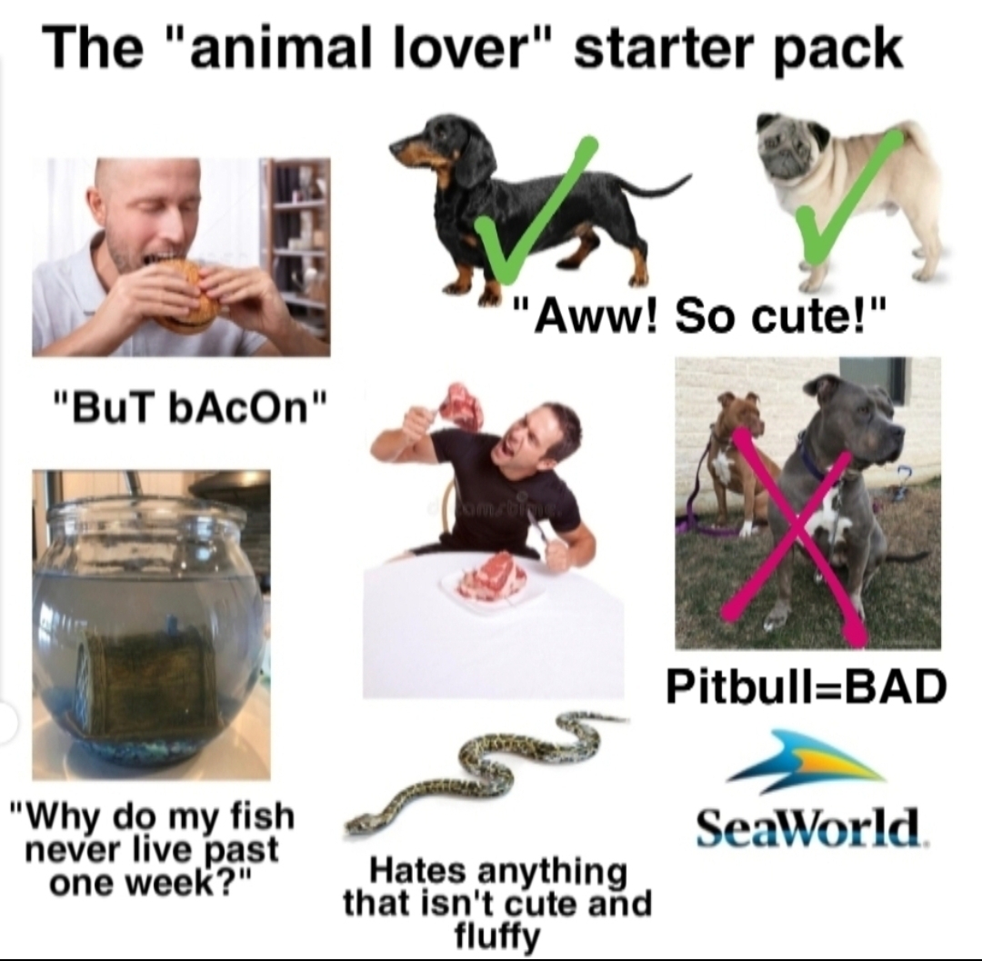 "AnImAl LoVeR" starter pack. r/starterpacks