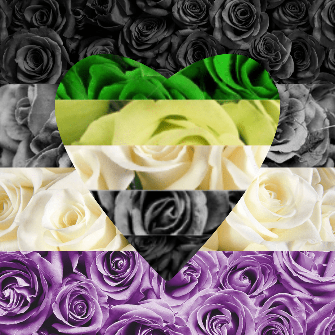 Asexual/Aromantic Rose Flag r/Asexual