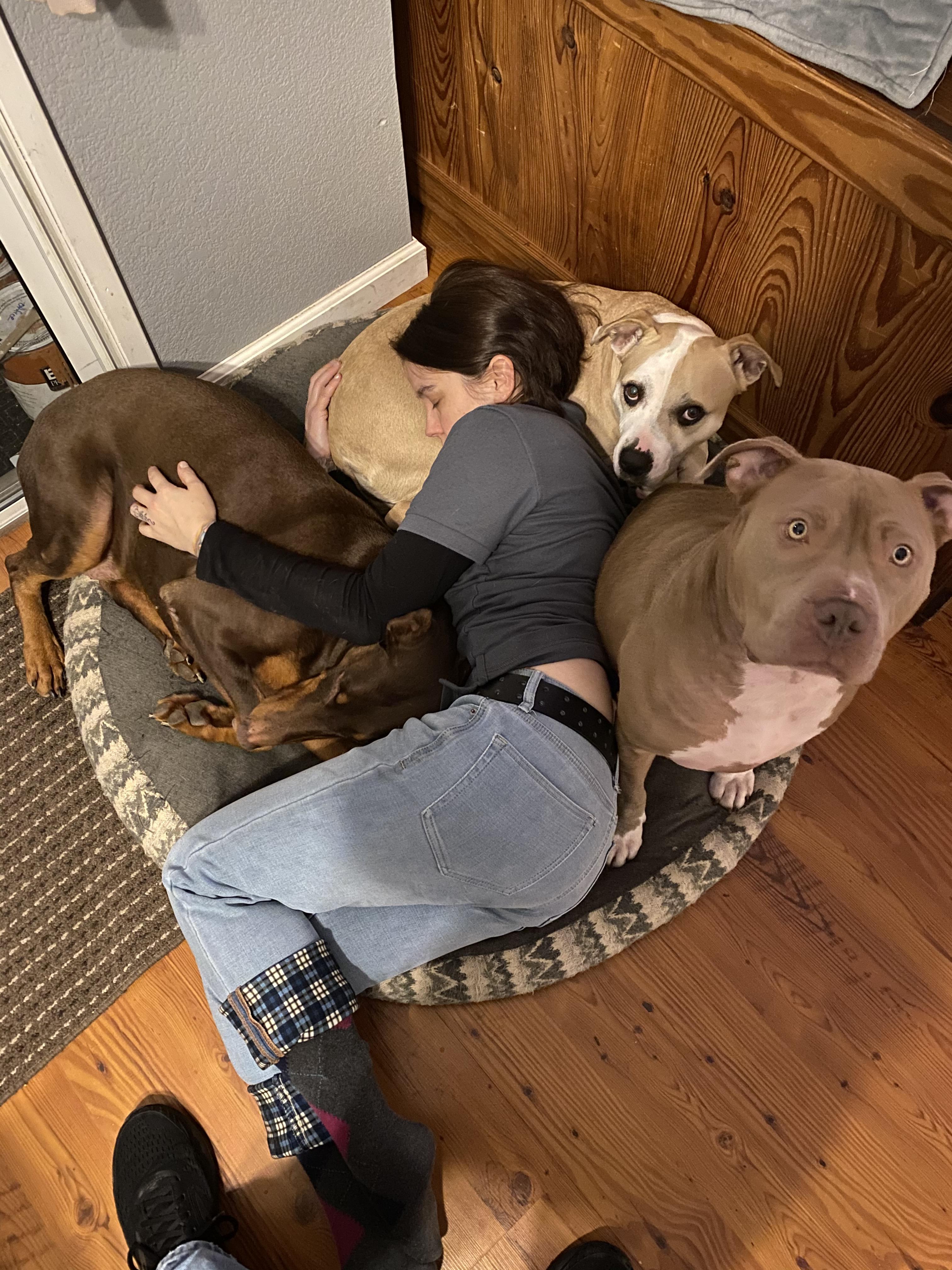 Reddit Dive into anything