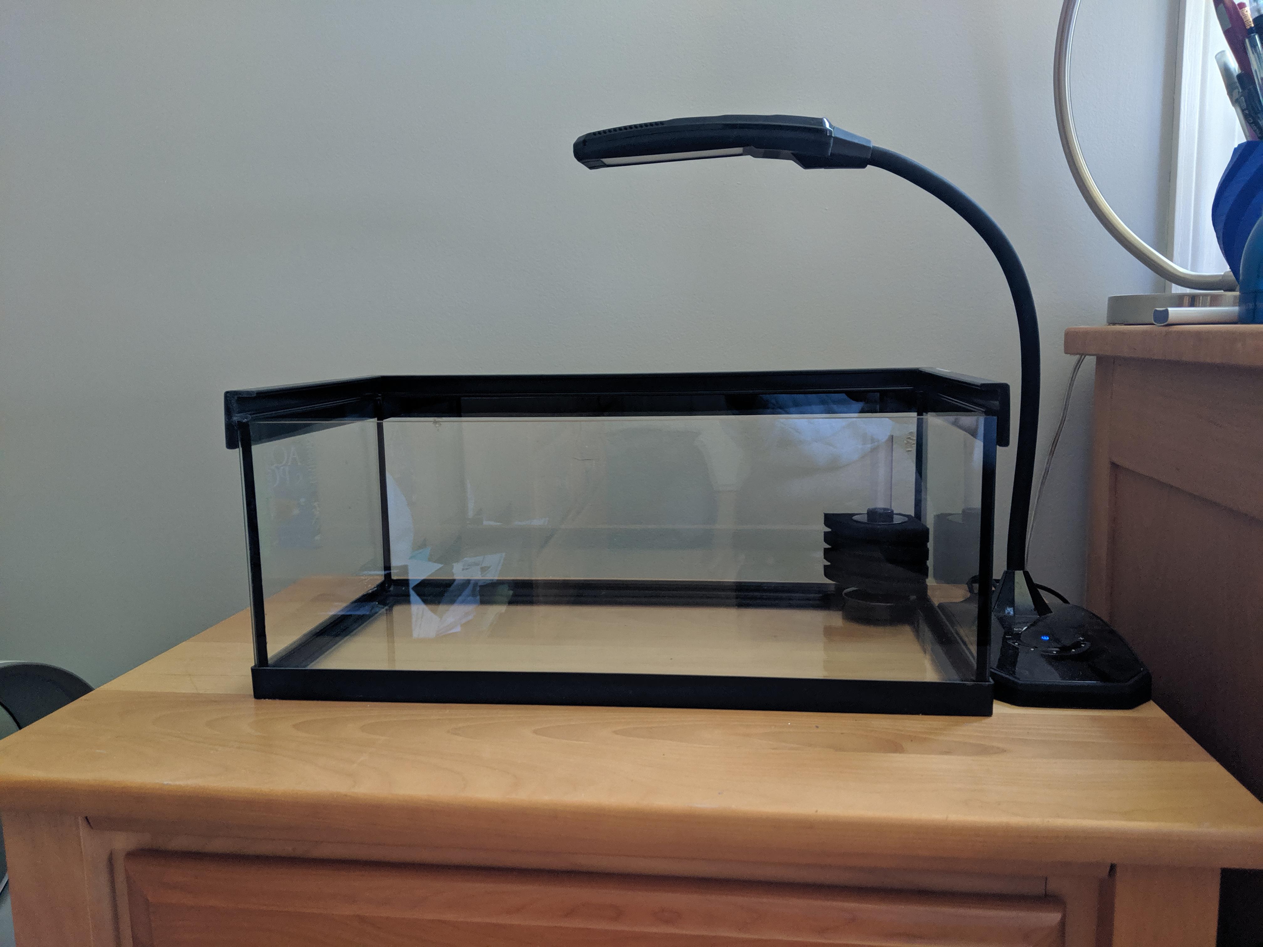 5 gallon long tank I recently picked up, I'm looking for setup suggestions r/Aquariums