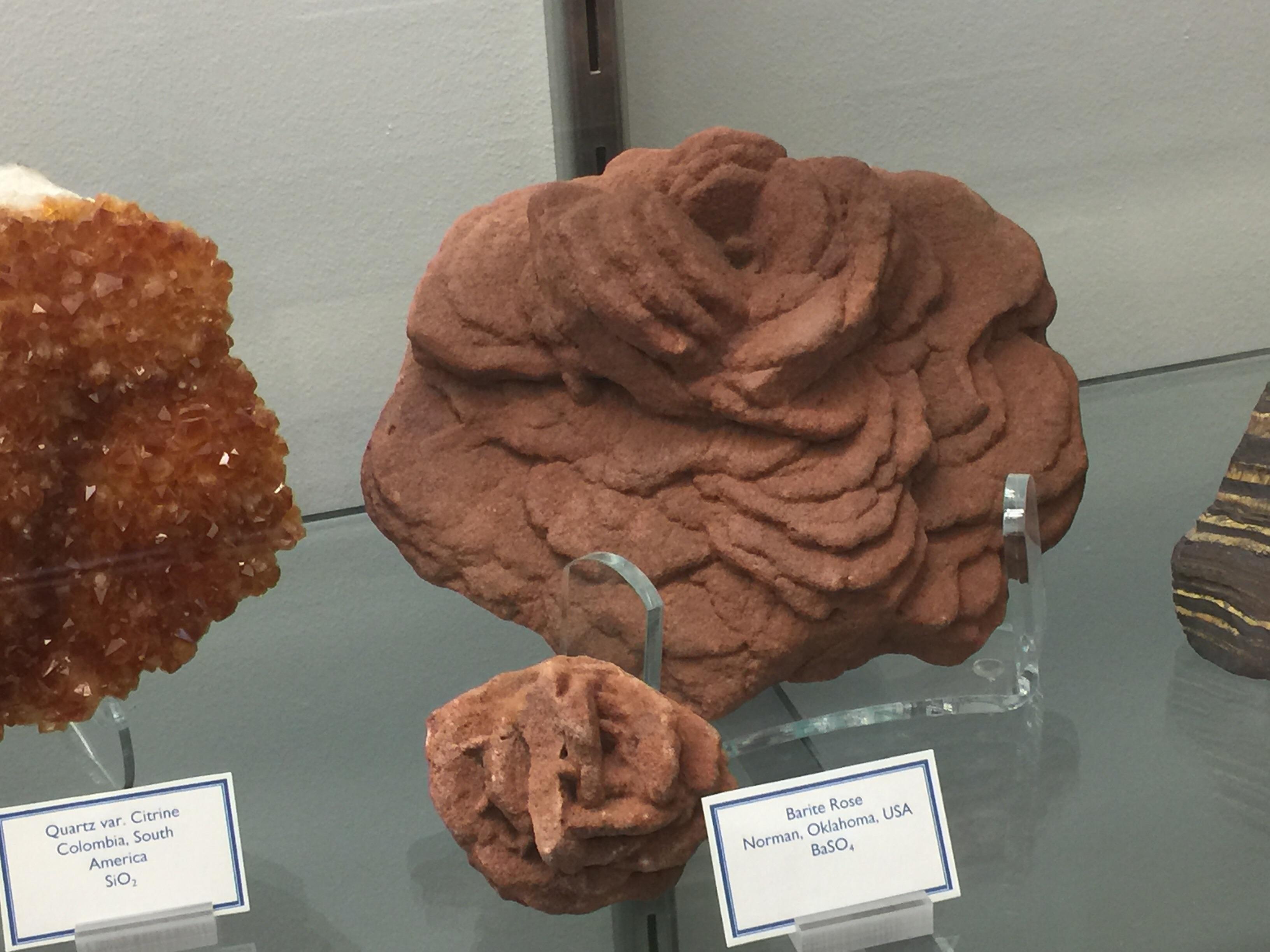 Barite Rose Rock from Oklahoma r/TOONA