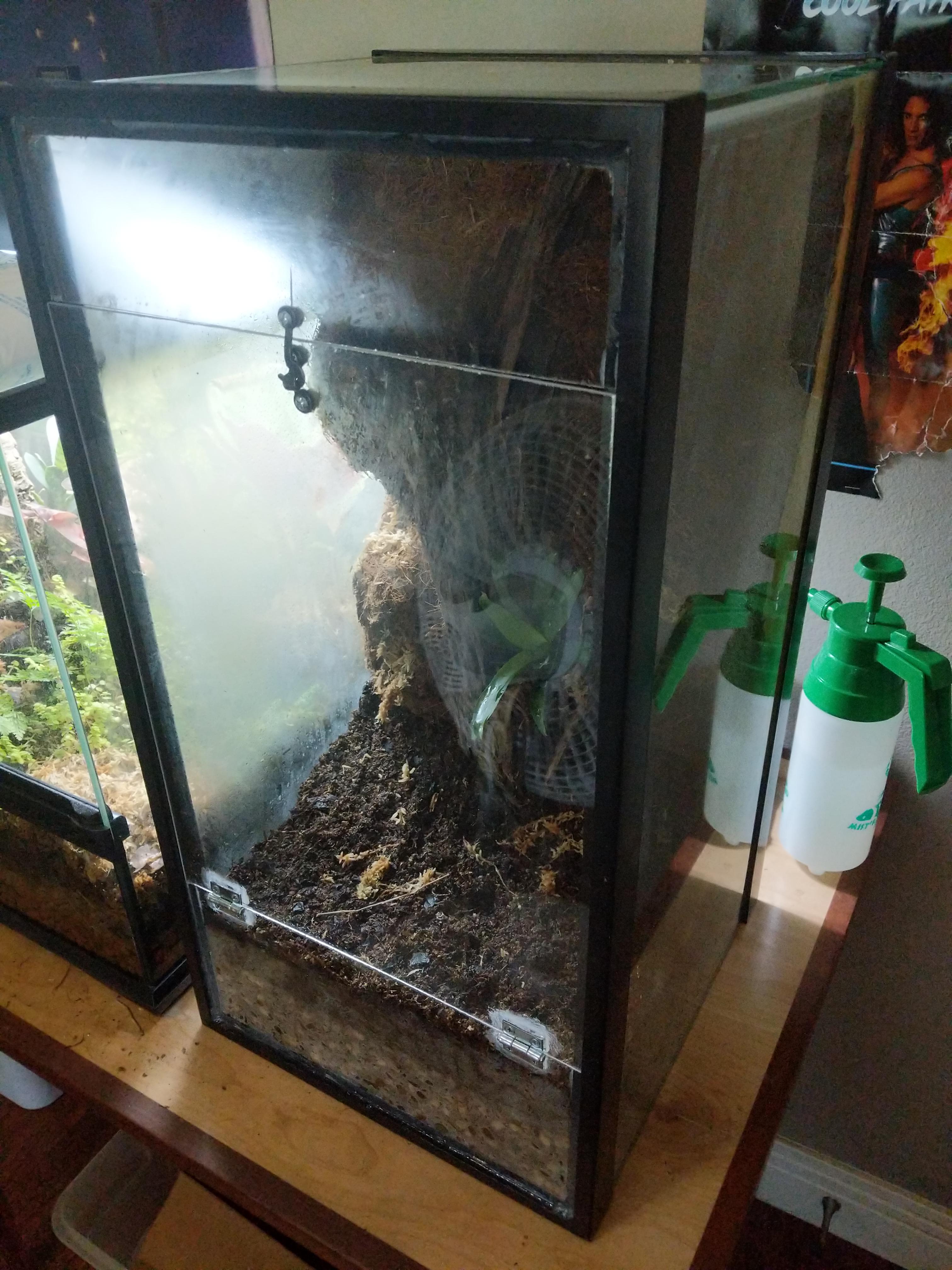 What kind of light fixture/bulb for this dart frog vivarium? r/Vivarium