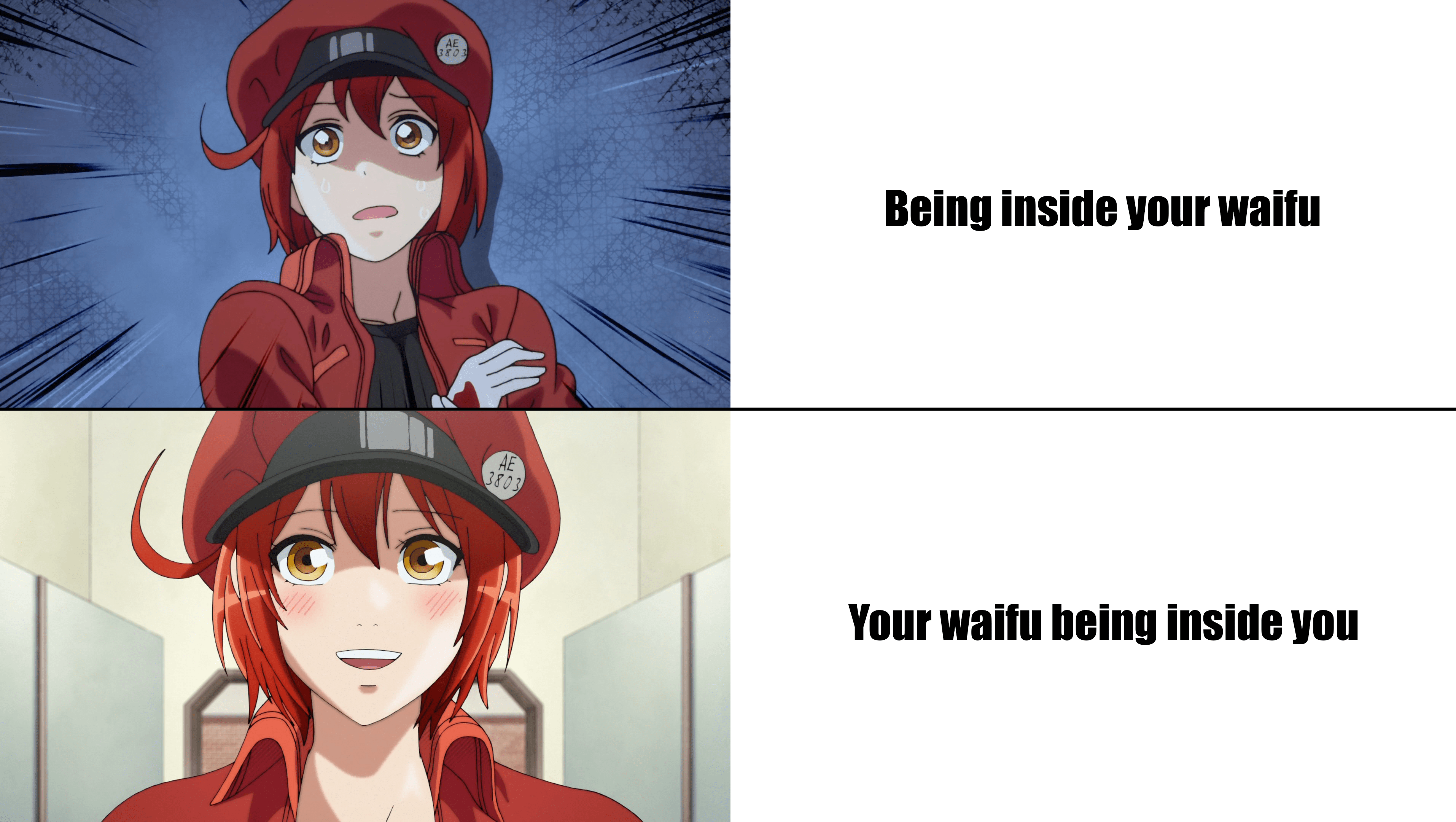 best waifu yet Animemes