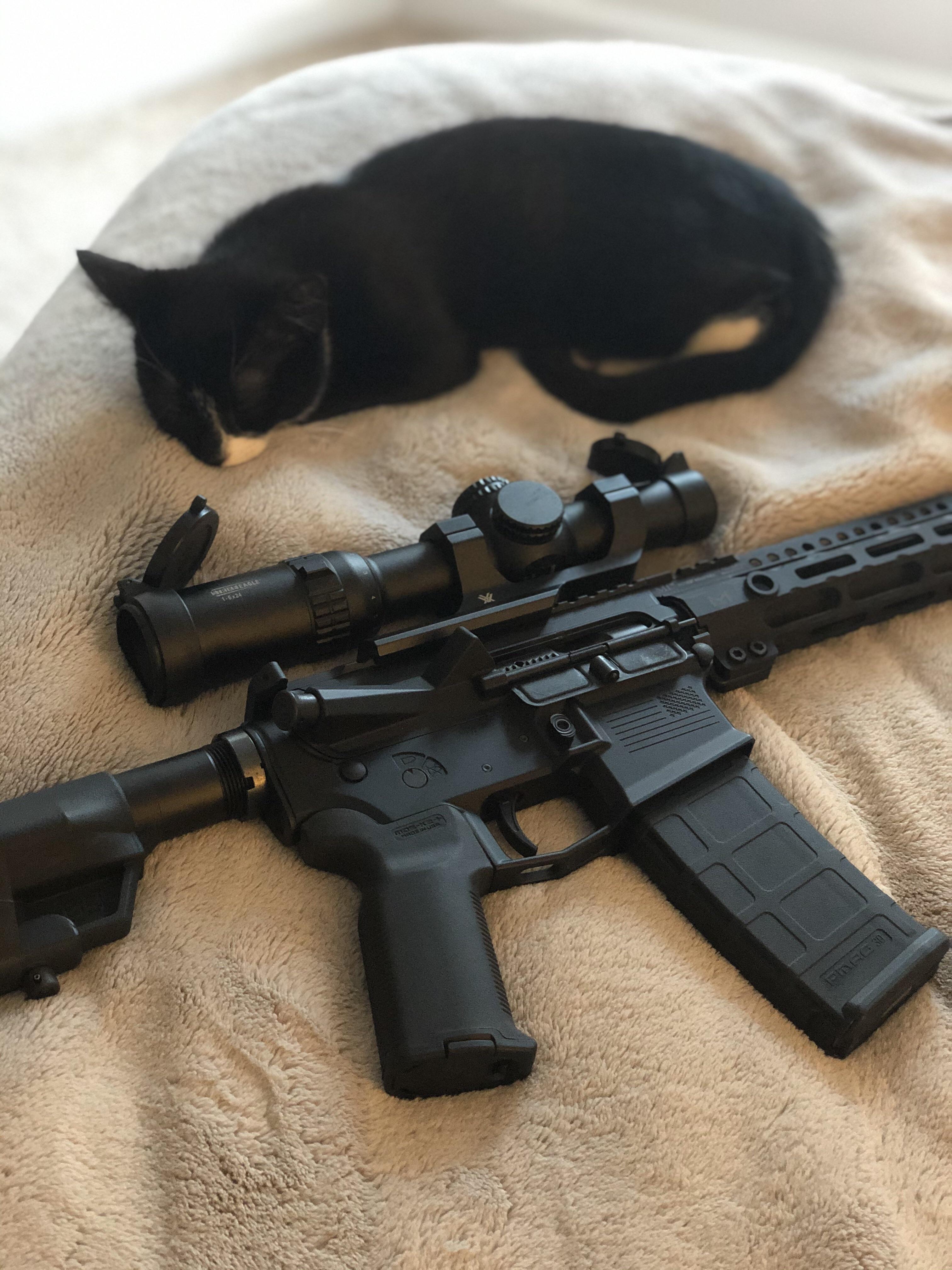 702 best Black Rifle images on Pholder Ar15, Guns and Canadaguns