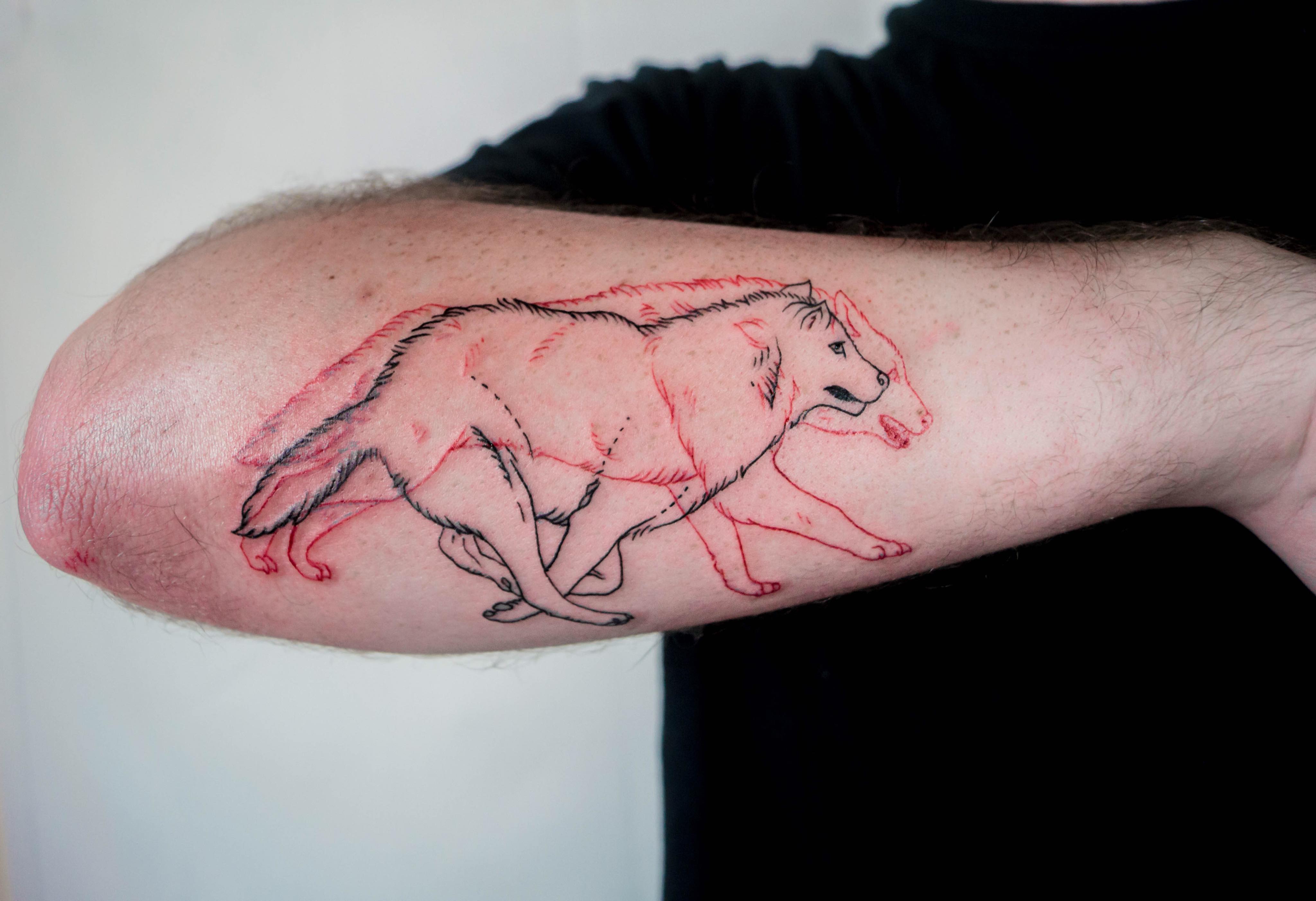Wolf tattoo from Jordan Ink Therapy Studios, Hickory, NC