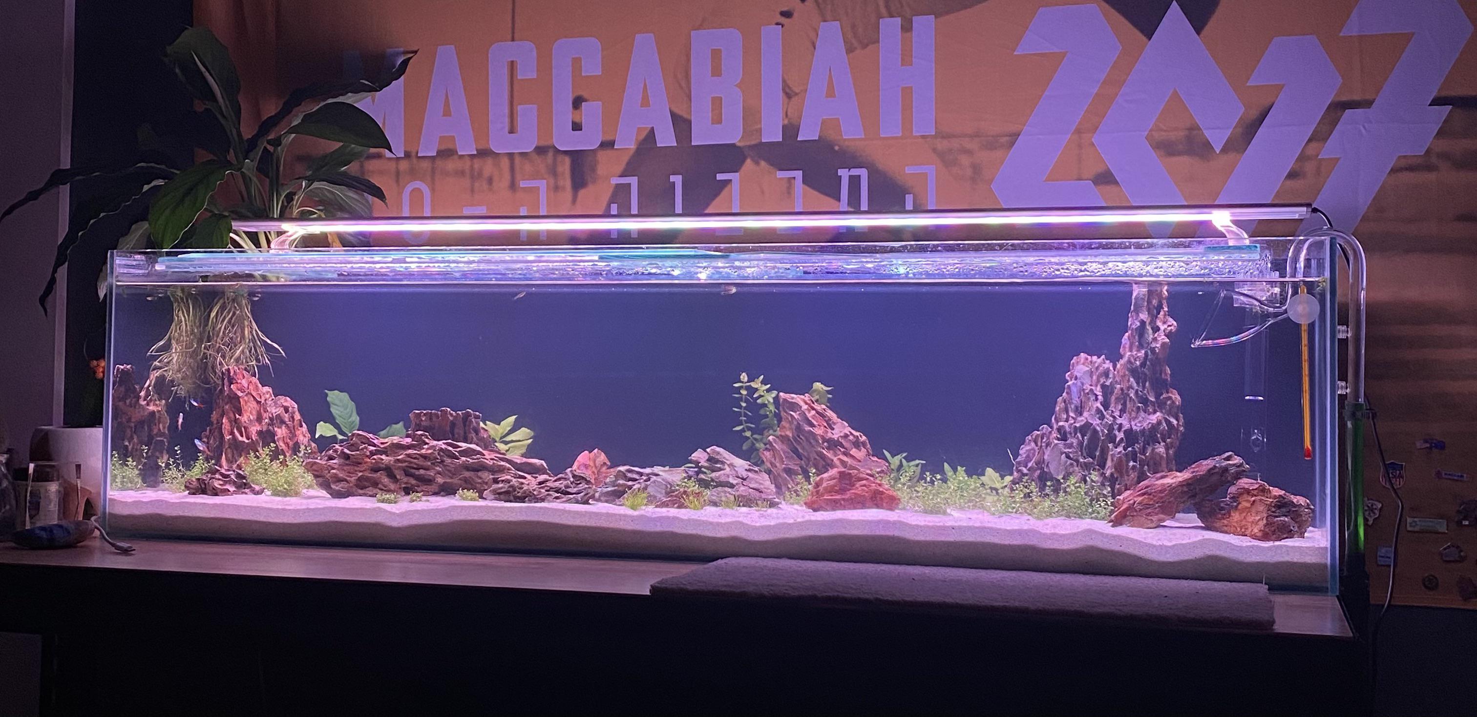Does anyone have any stocking ideas for my 30 gallon long tank. I